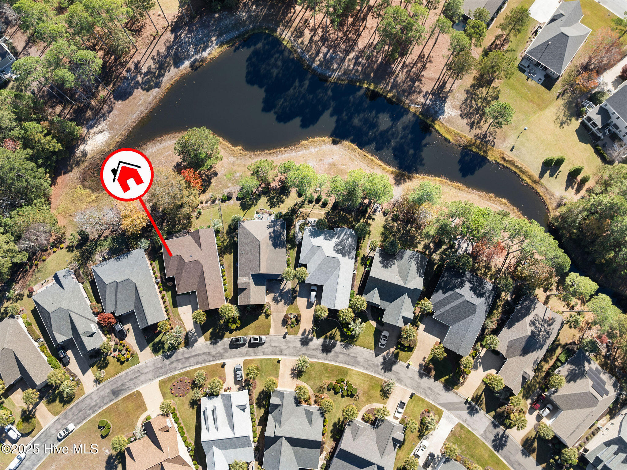 100542530 | Photo 55