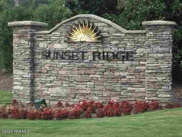 100567363 | Photo 49