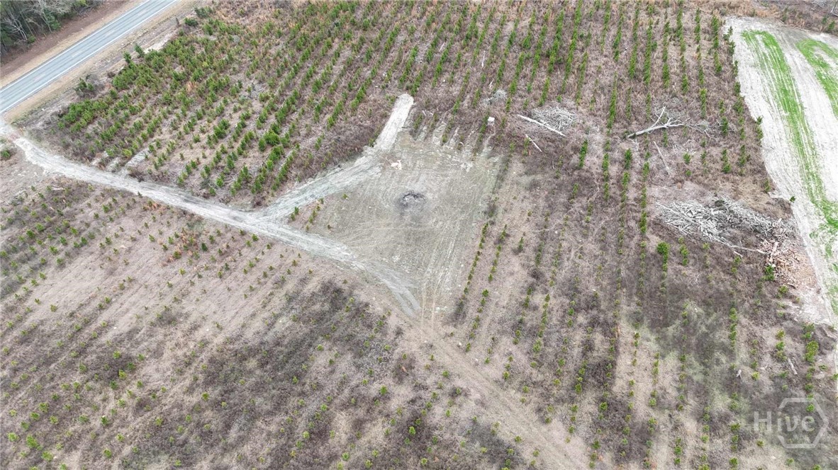 Homes for sale in Statesboro, GA | 0 Hwy 301, Statesboro, GA 30461 | MLS# SA346333