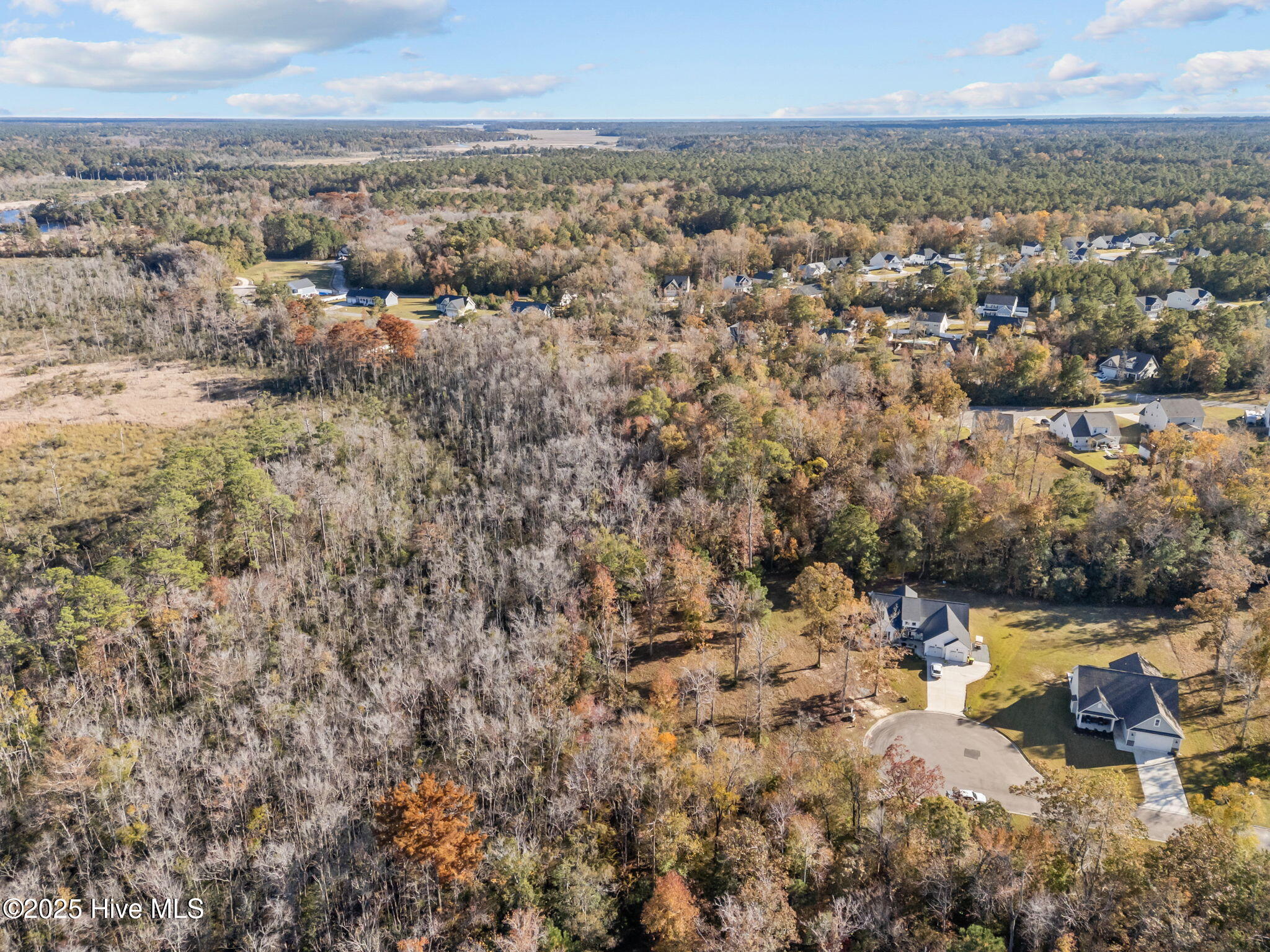 100540368 | Photo 14