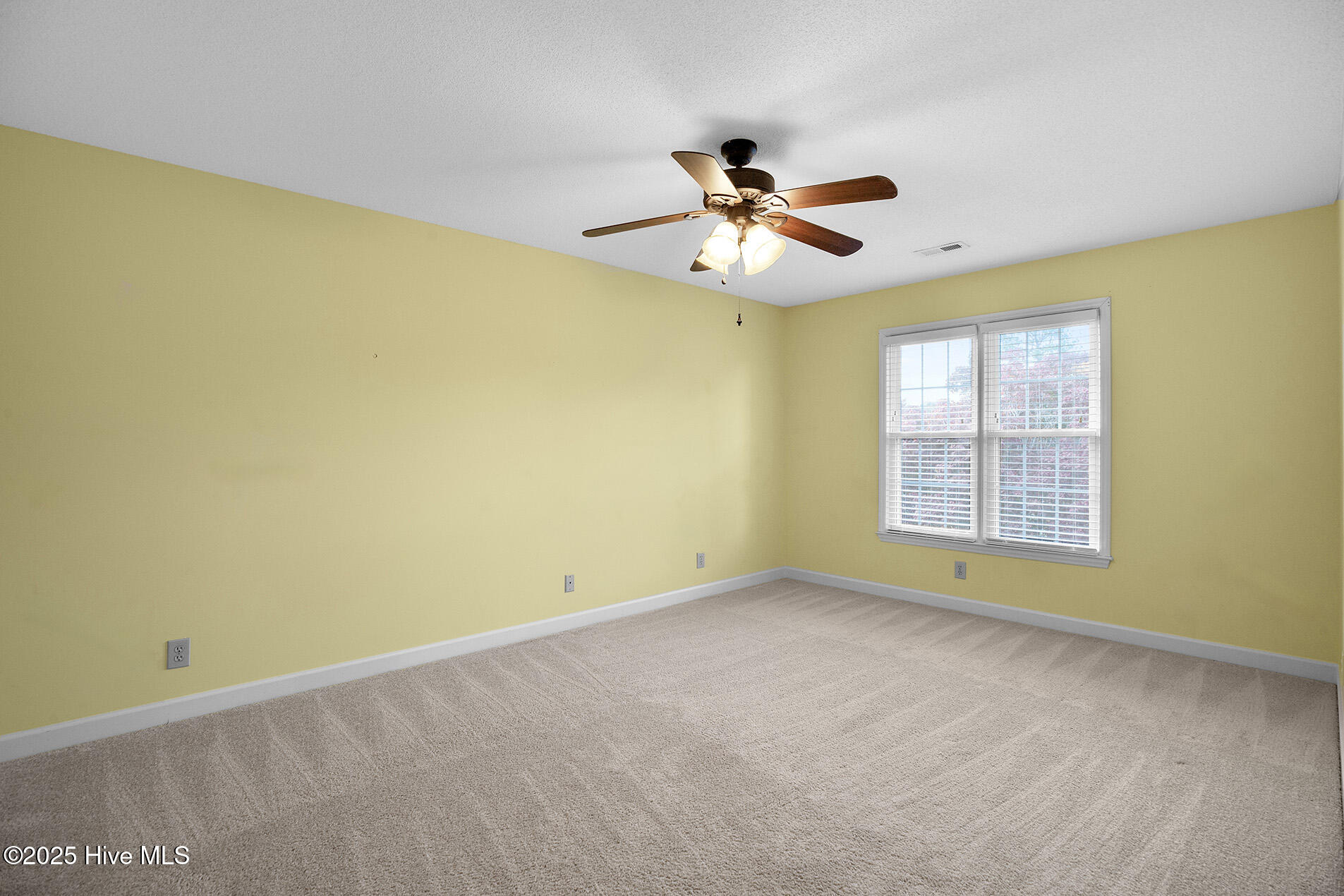 100541648 | Photo 34