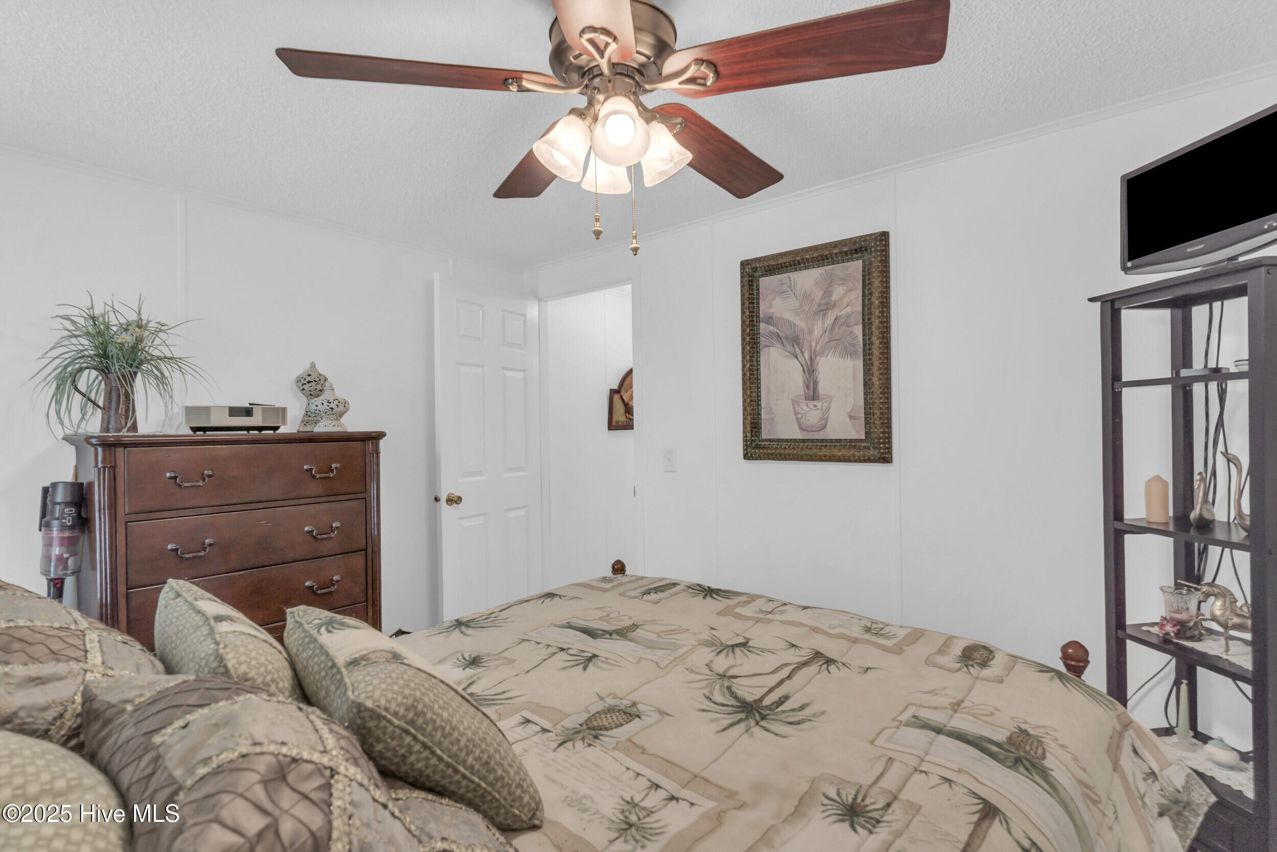 100559828 | Photo 18