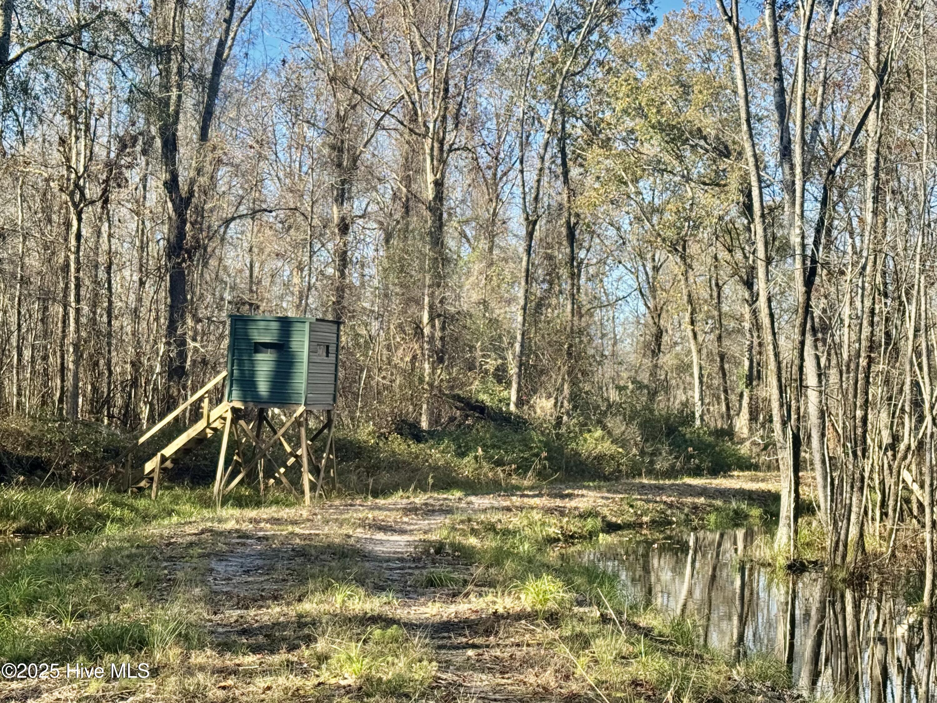 100545170 | Photo 11