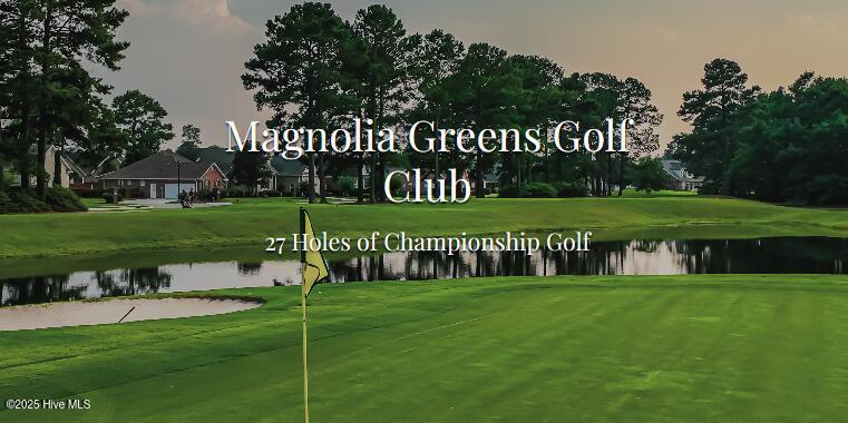 100536003 | Photo 21