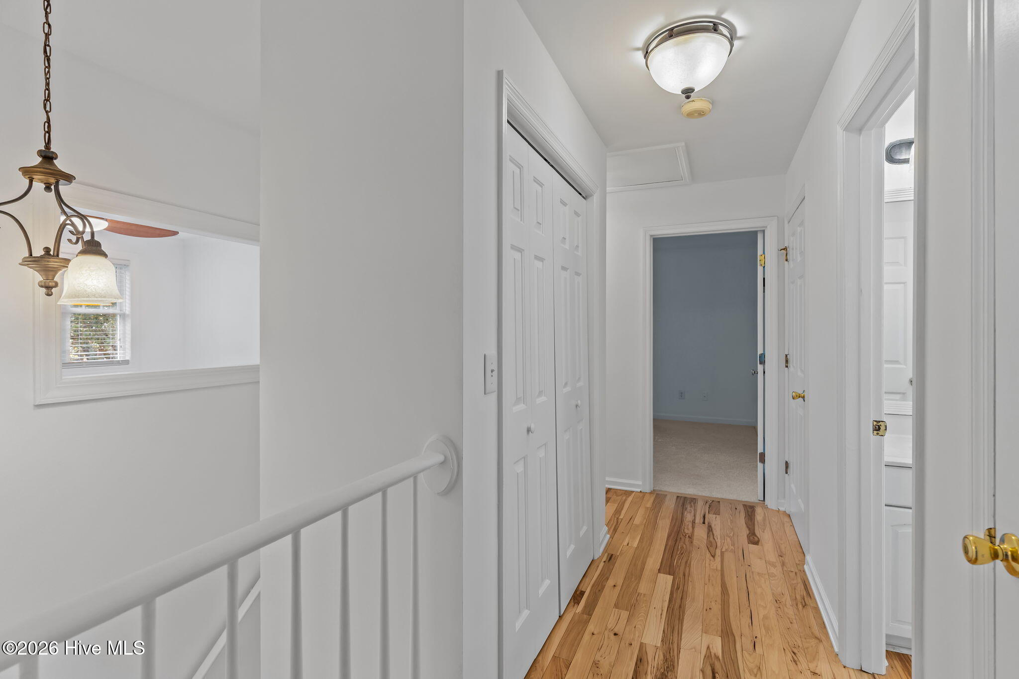 100562796 | Photo 37