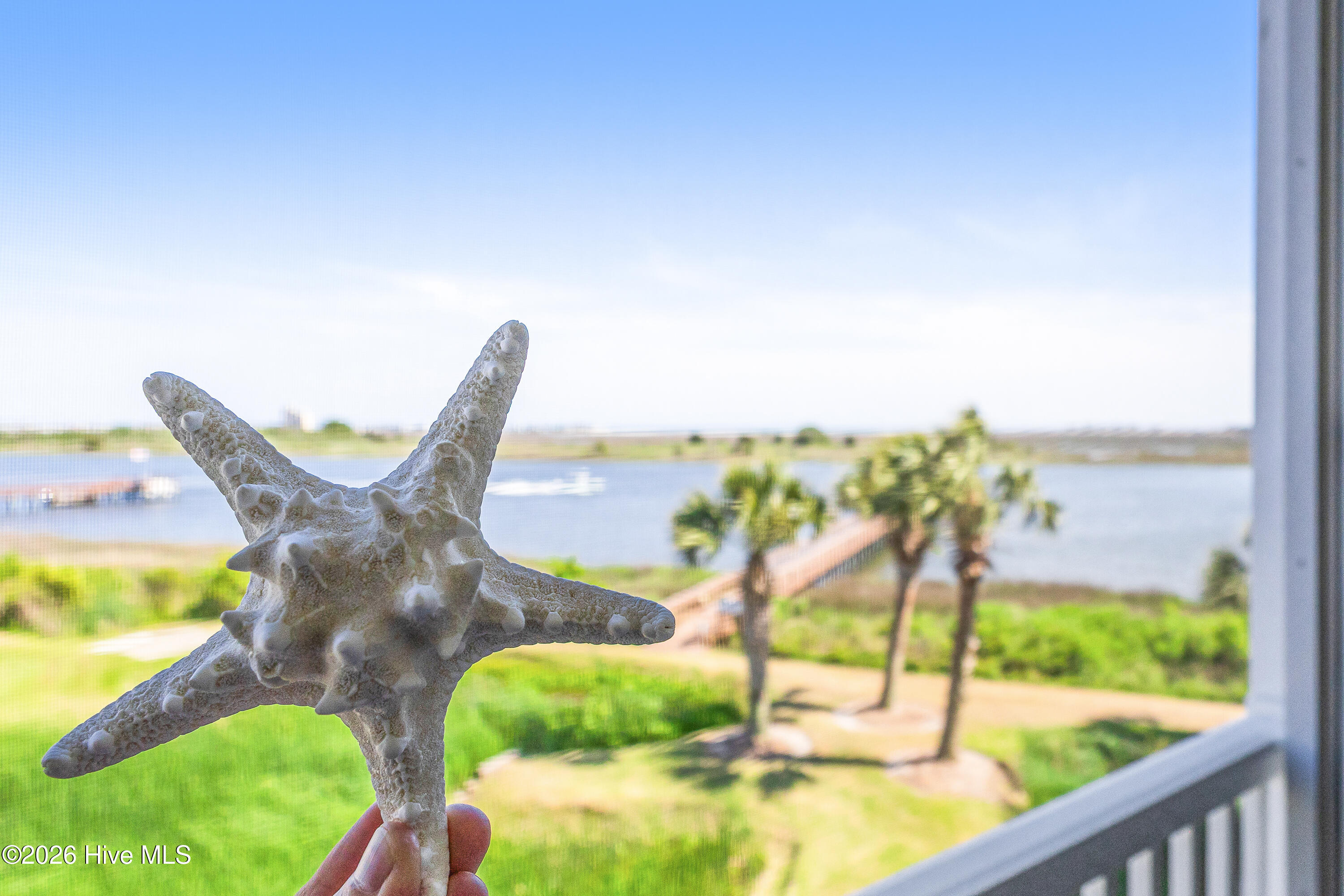 100569606 | Photo 29