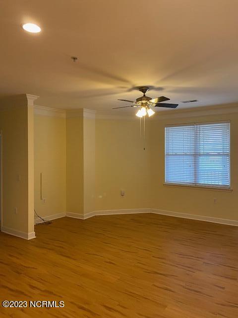 100533278 | Photo 10