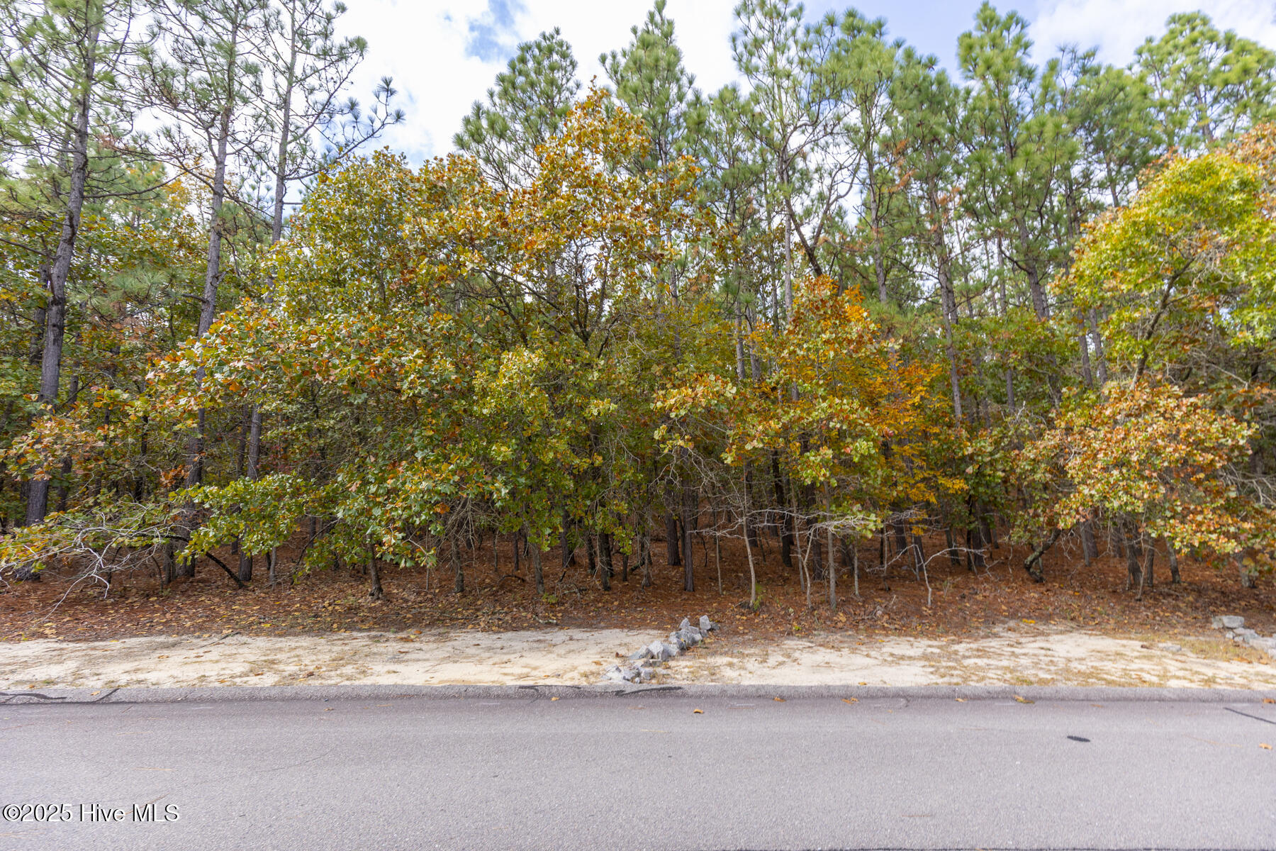 Homes for sale in West End, NC | 115 James Dr, West End, NC 27376 | MLS# 100538329