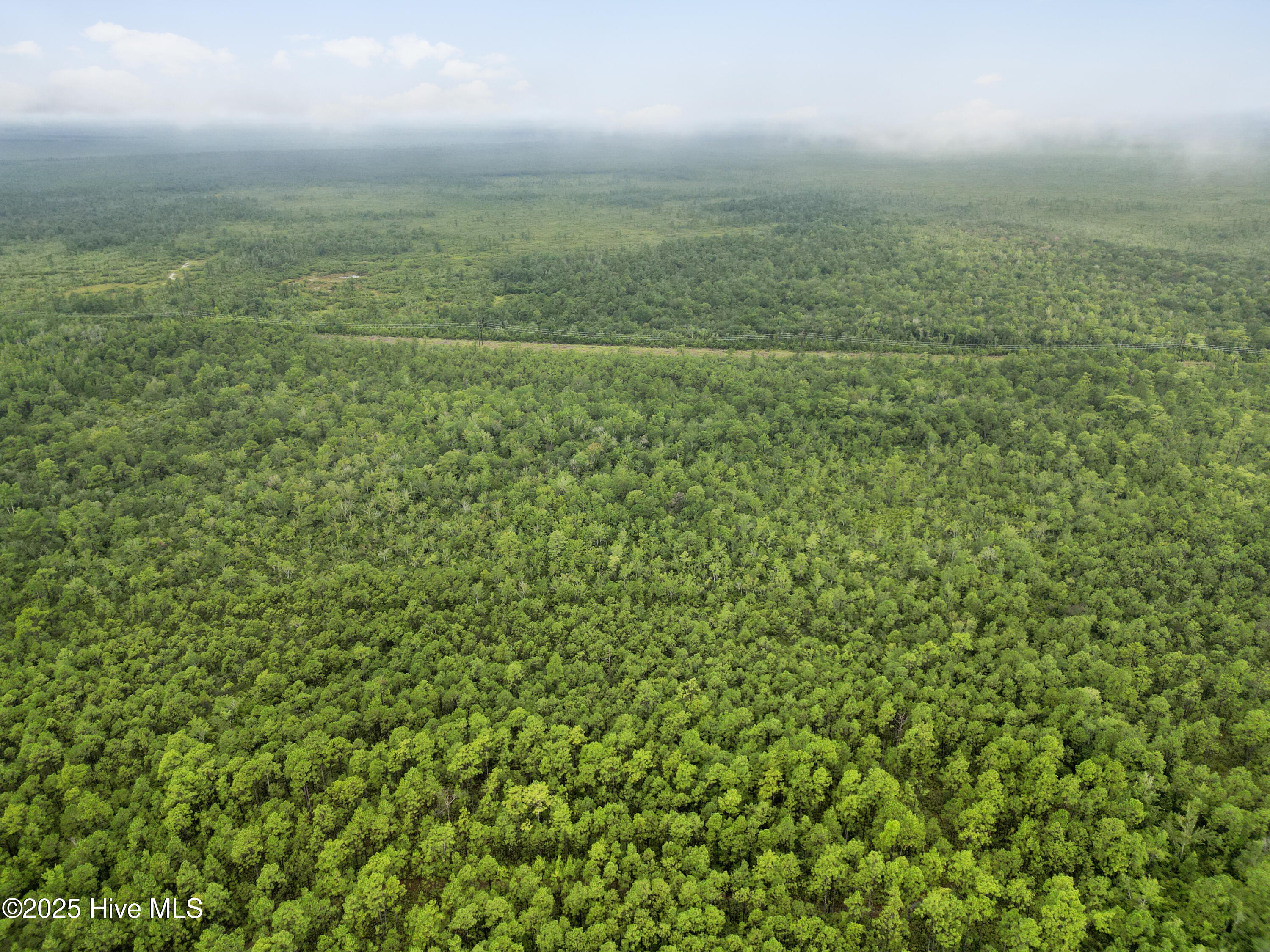 100525966 | Photo 17