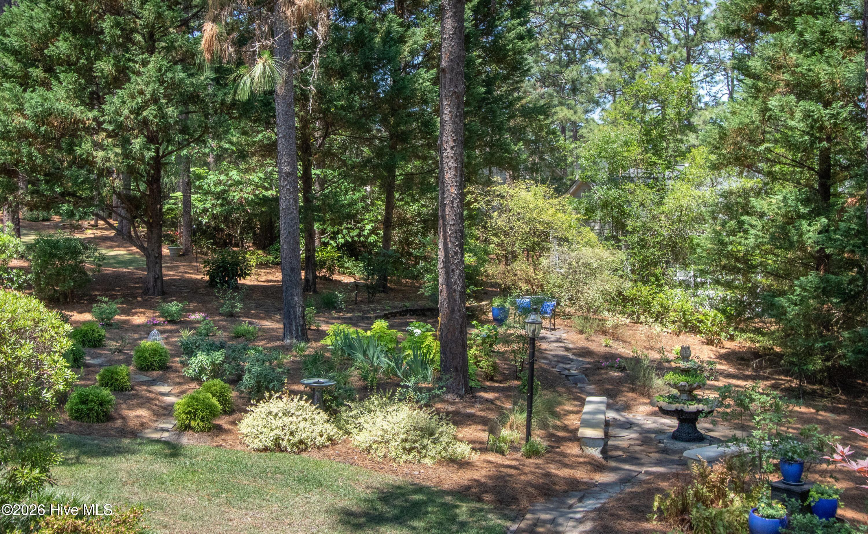 BackYard8