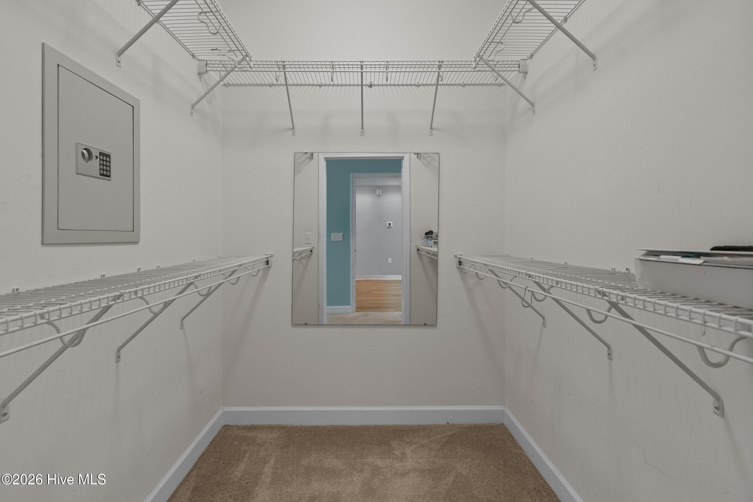 100570667 | Photo 23