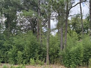 5th image of 1298 Moores Chapel Rd, Lillington, NC 27546 | MLS# 100598632