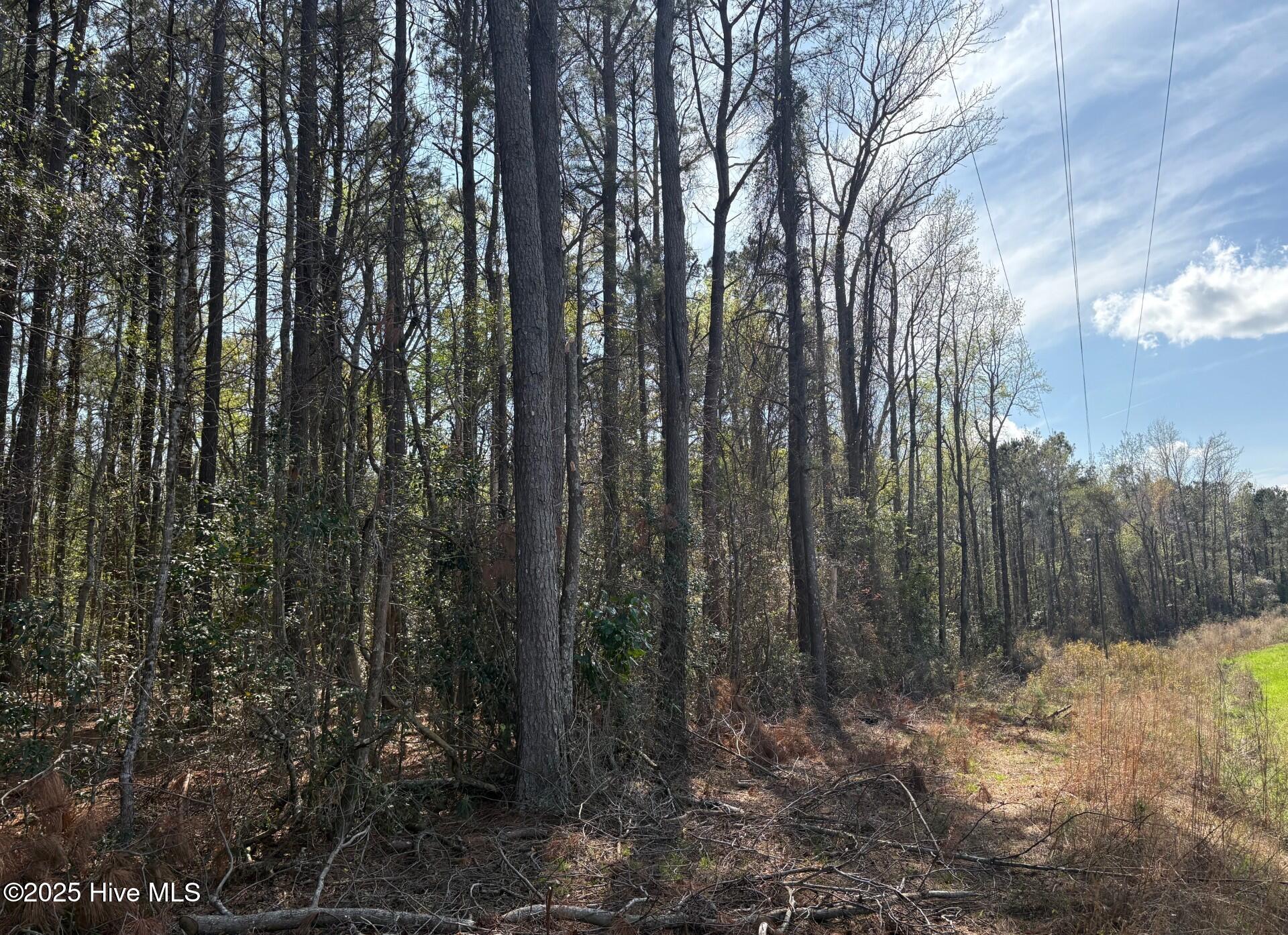 Undisclosed Address, Atkinson, NC, 28421