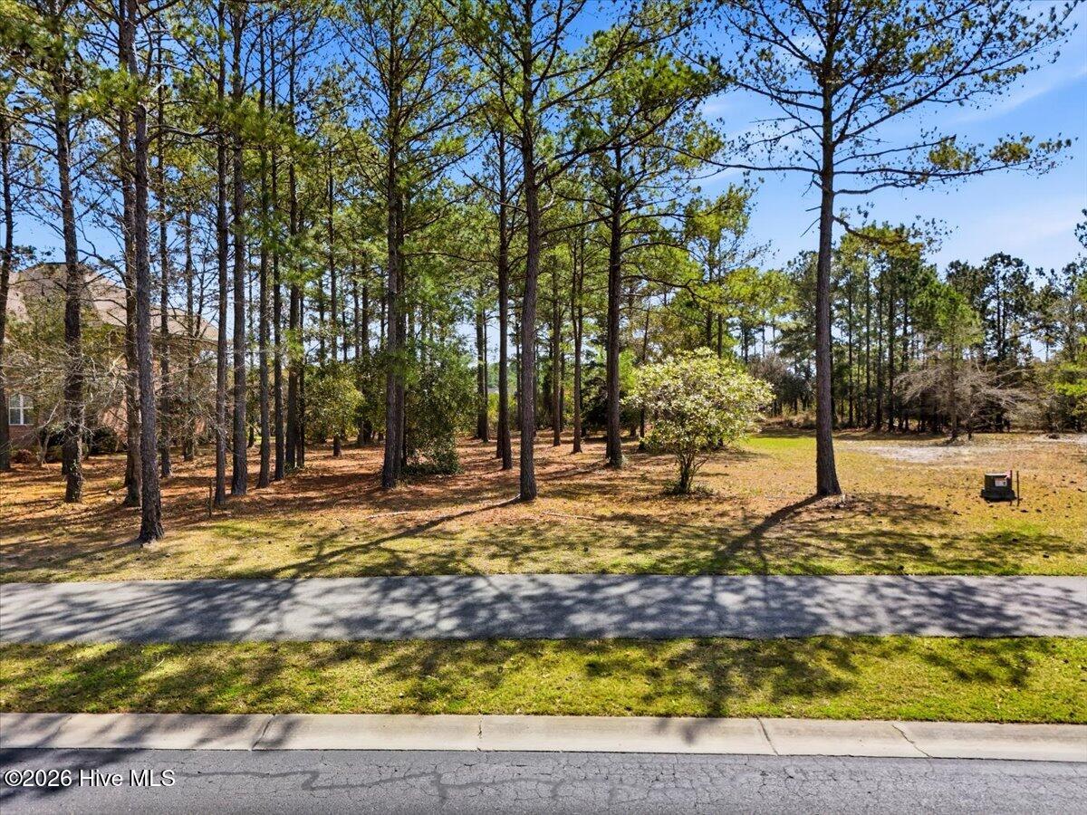 100563652 | Photo 10