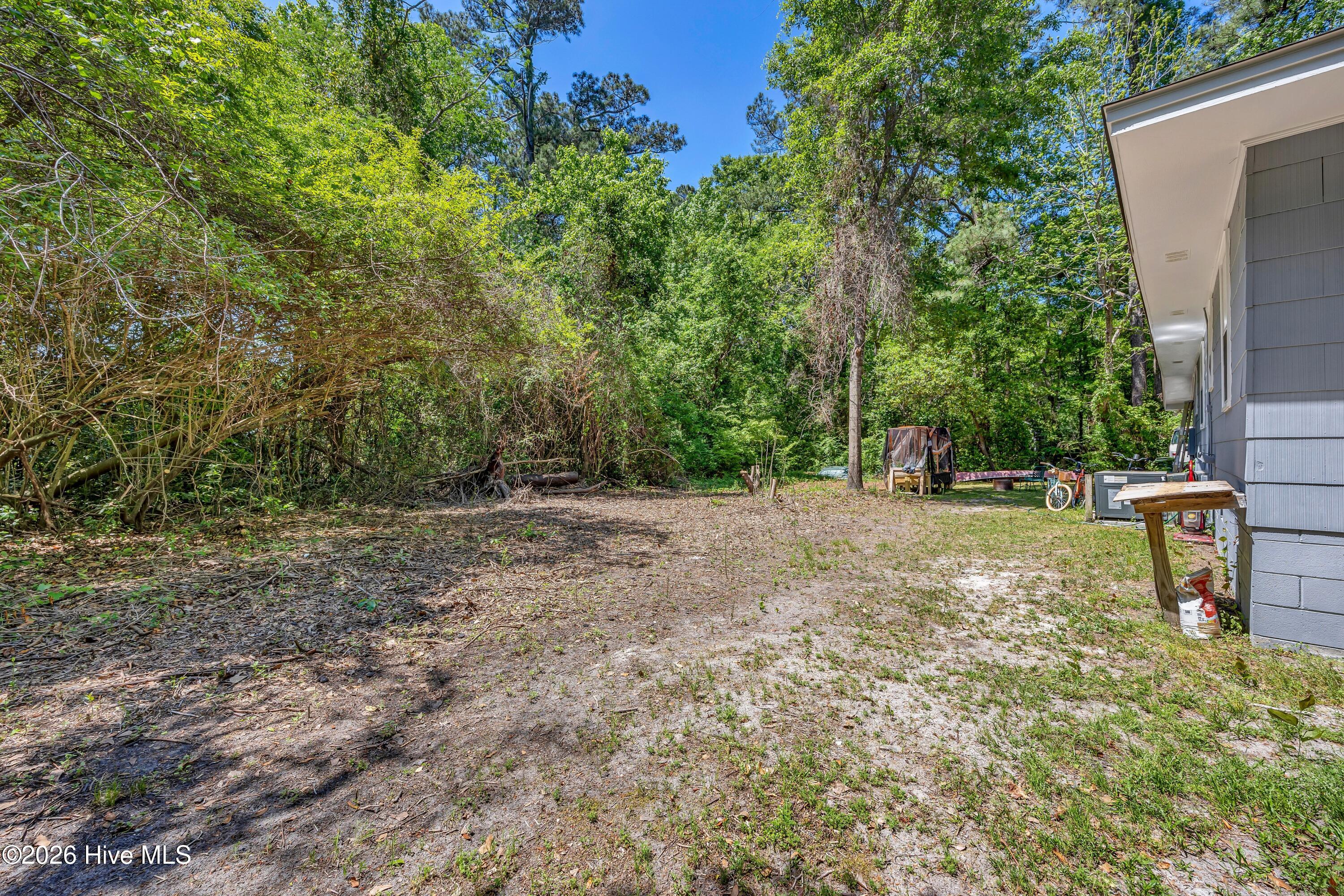 100567987 | Photo 17