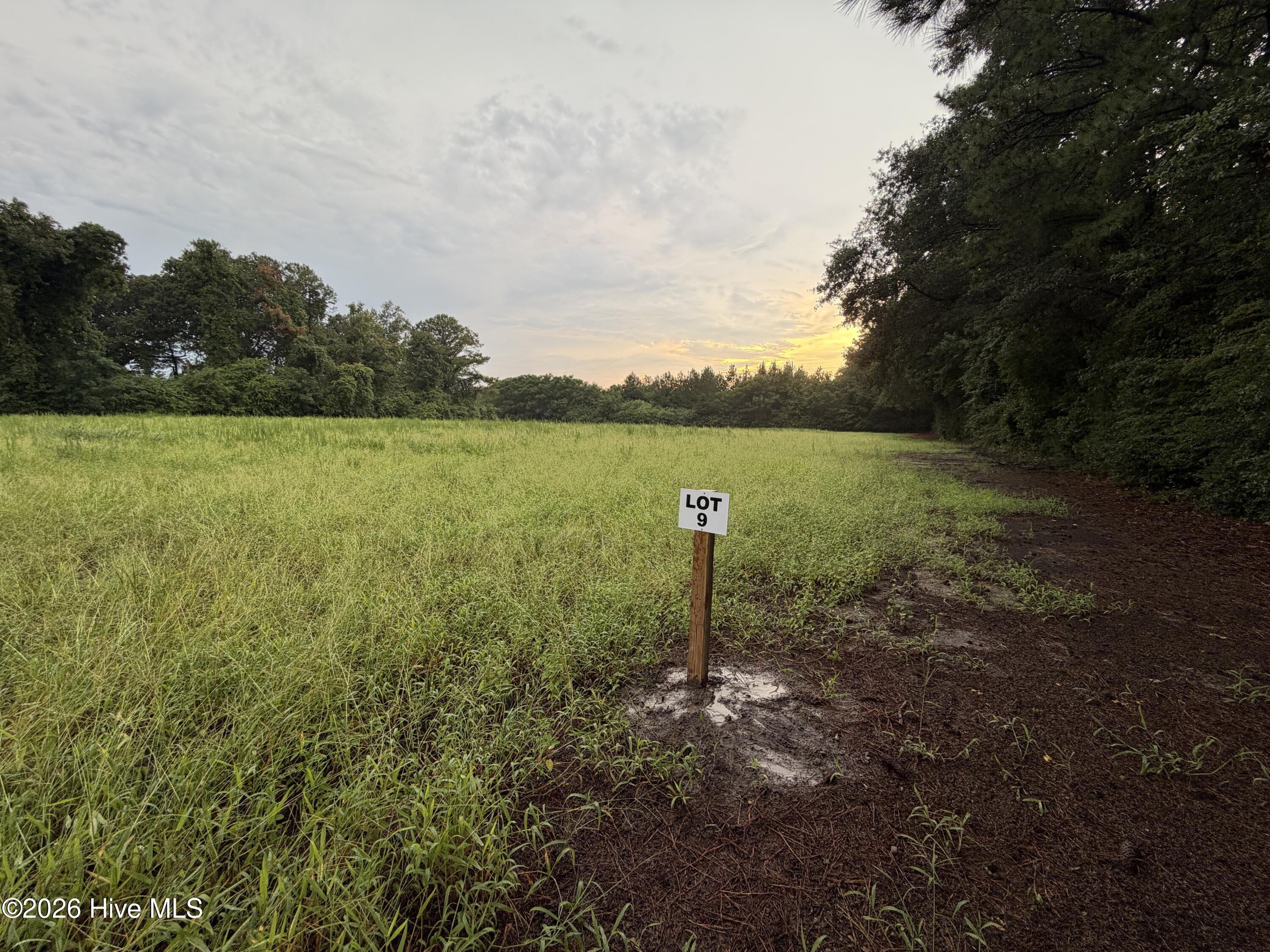 12th image of Lot 9 Point Caswell Road, Willard, NC 28478 | MLS# 100597335