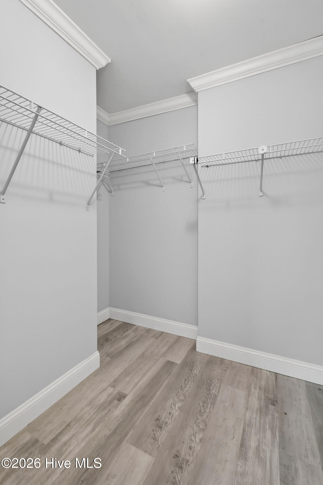 100569384 | Photo 18