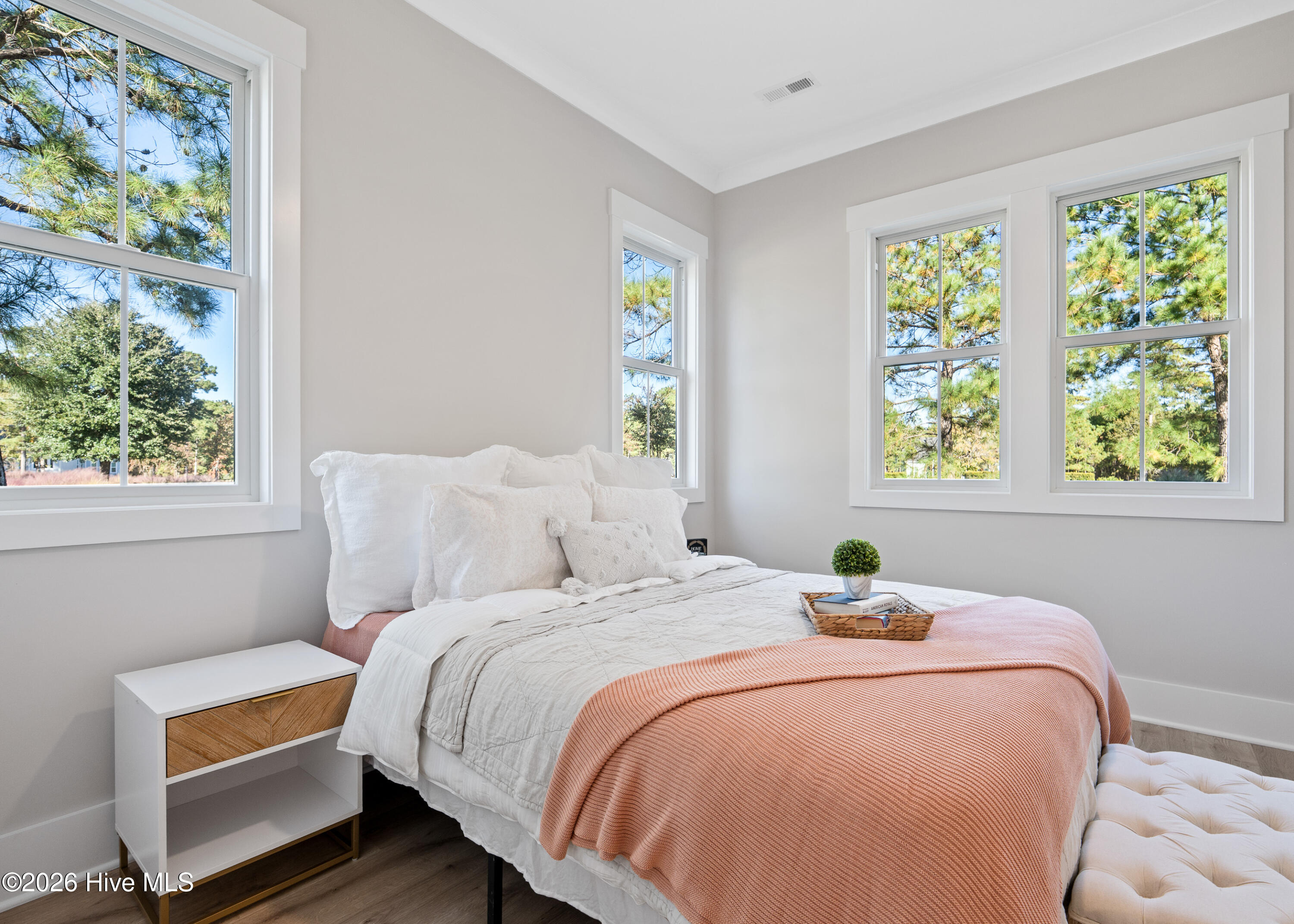 100558184 | Photo 21