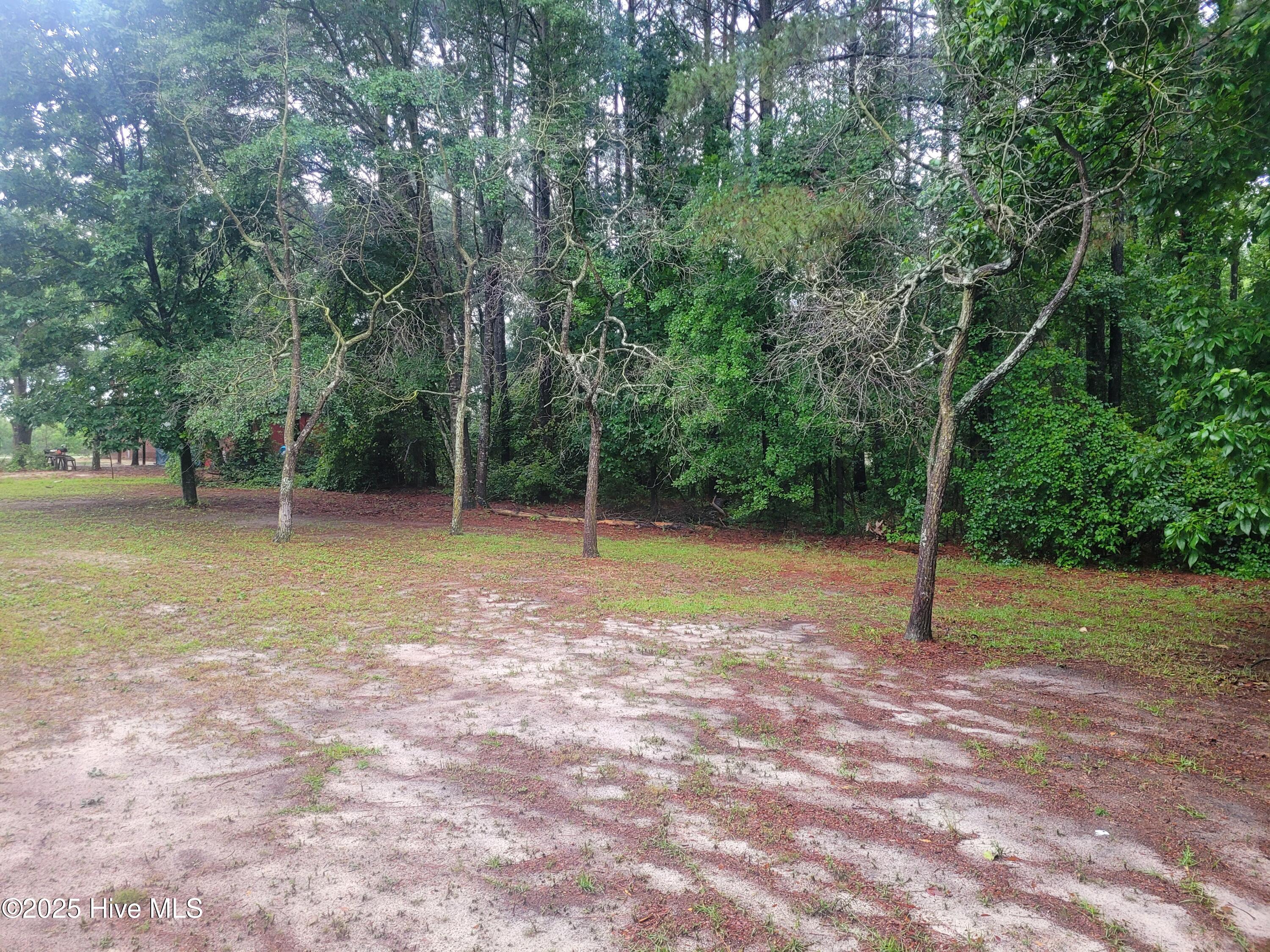 Homes for sale in Deep Run, NC | 1810 Hickerson Cir, Deep Run, NC 28525 | MLS# 100507565