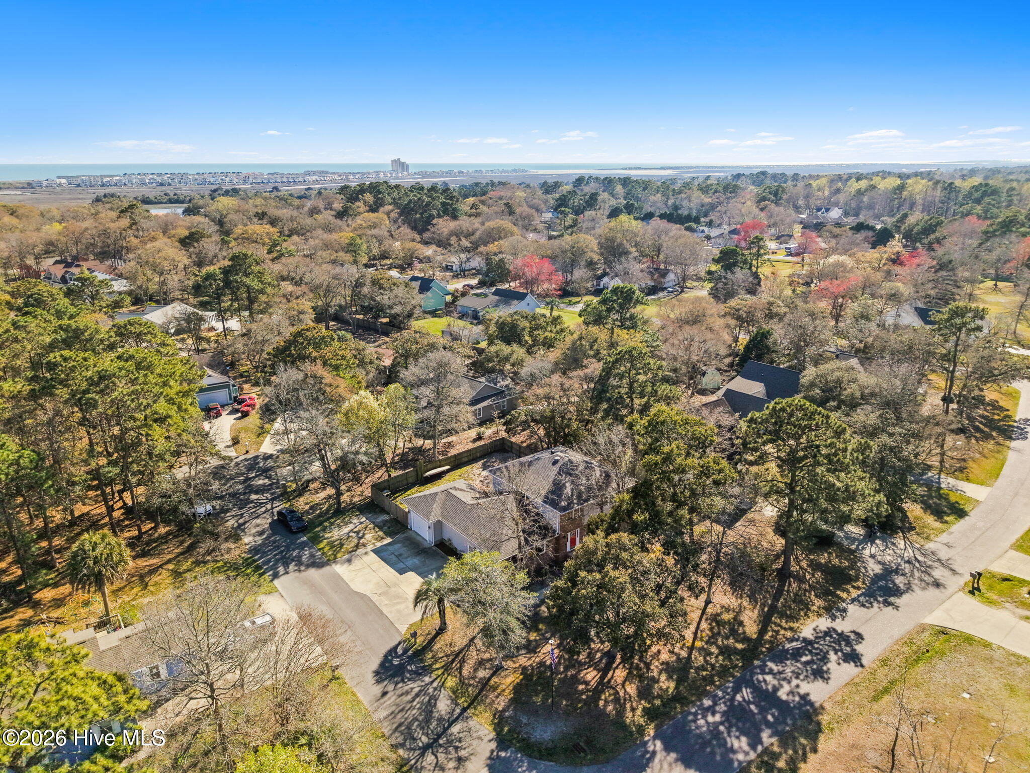 100562881 | Photo 44