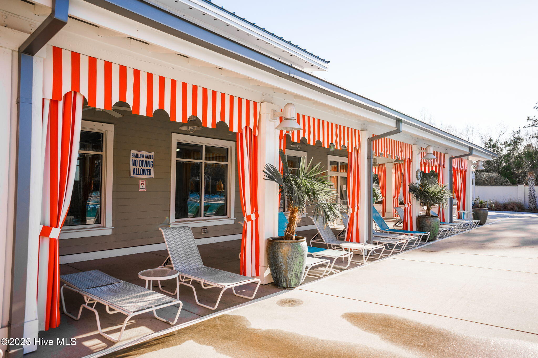 100538241 | Photo 51