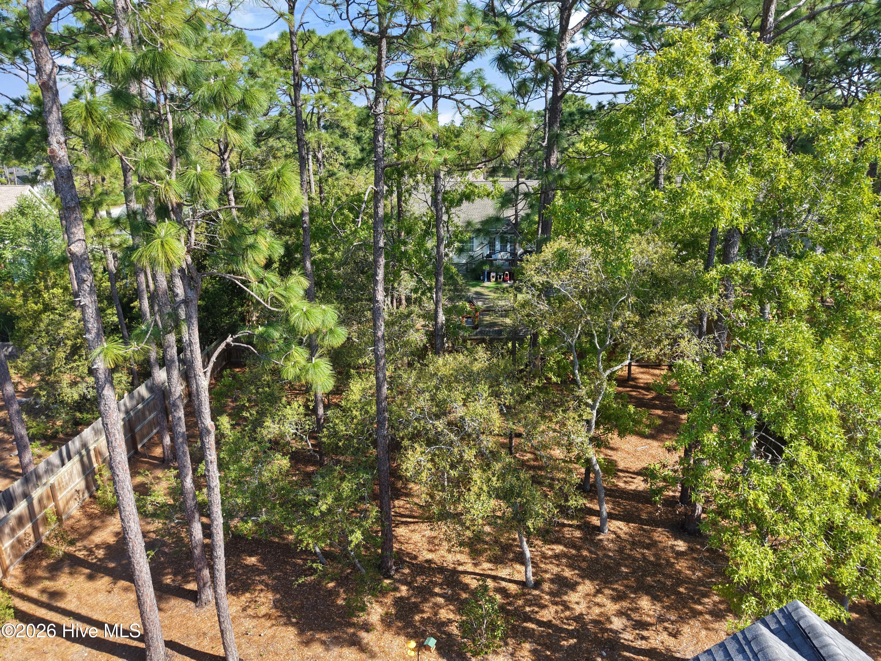 100568051 | Photo 53