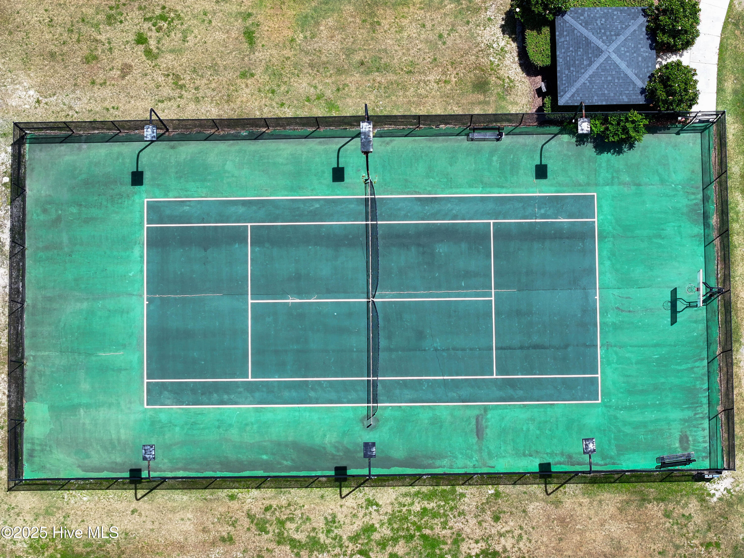 100515883 | Photo 44