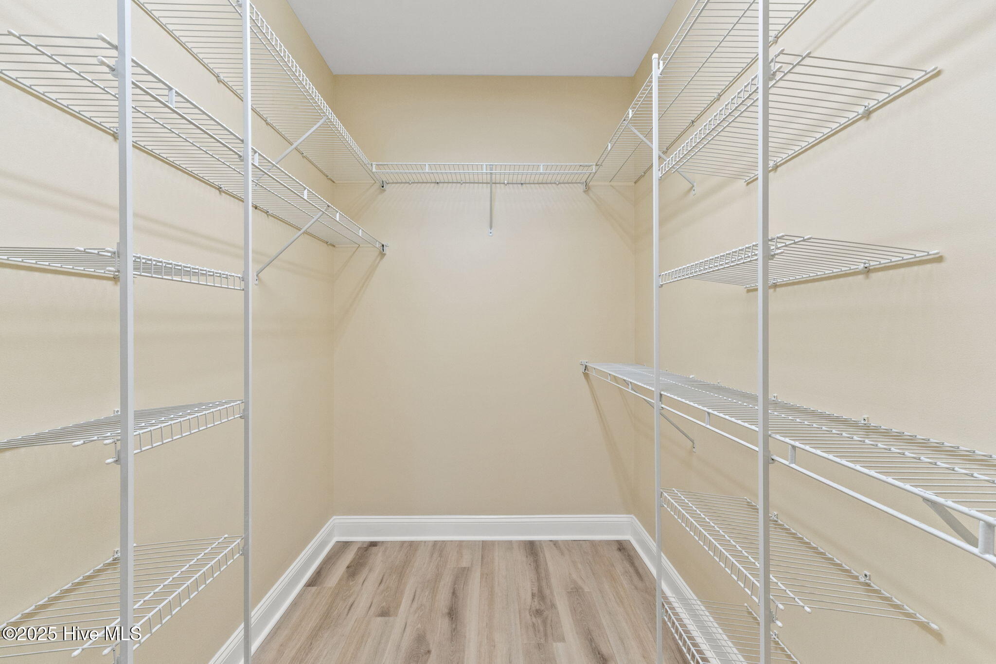 100496126 | Photo 26