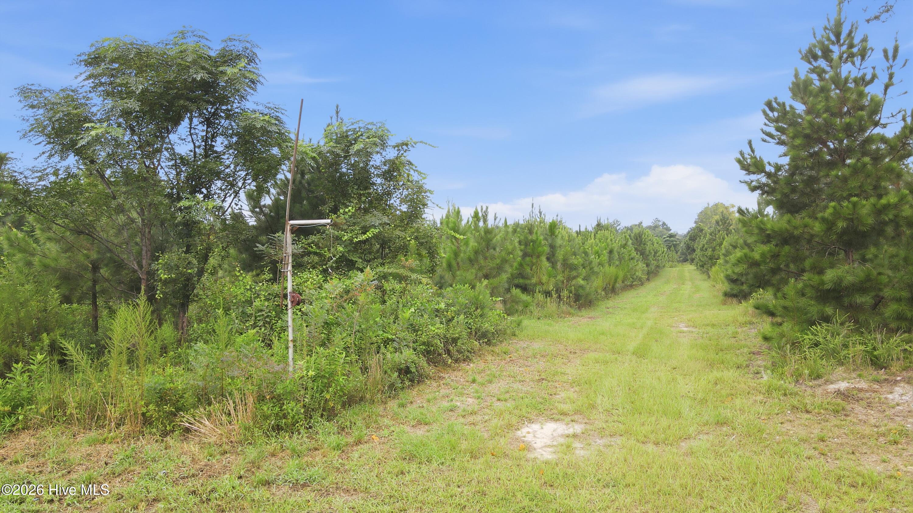 795 Pollard Swamp Road,Vanceboro
