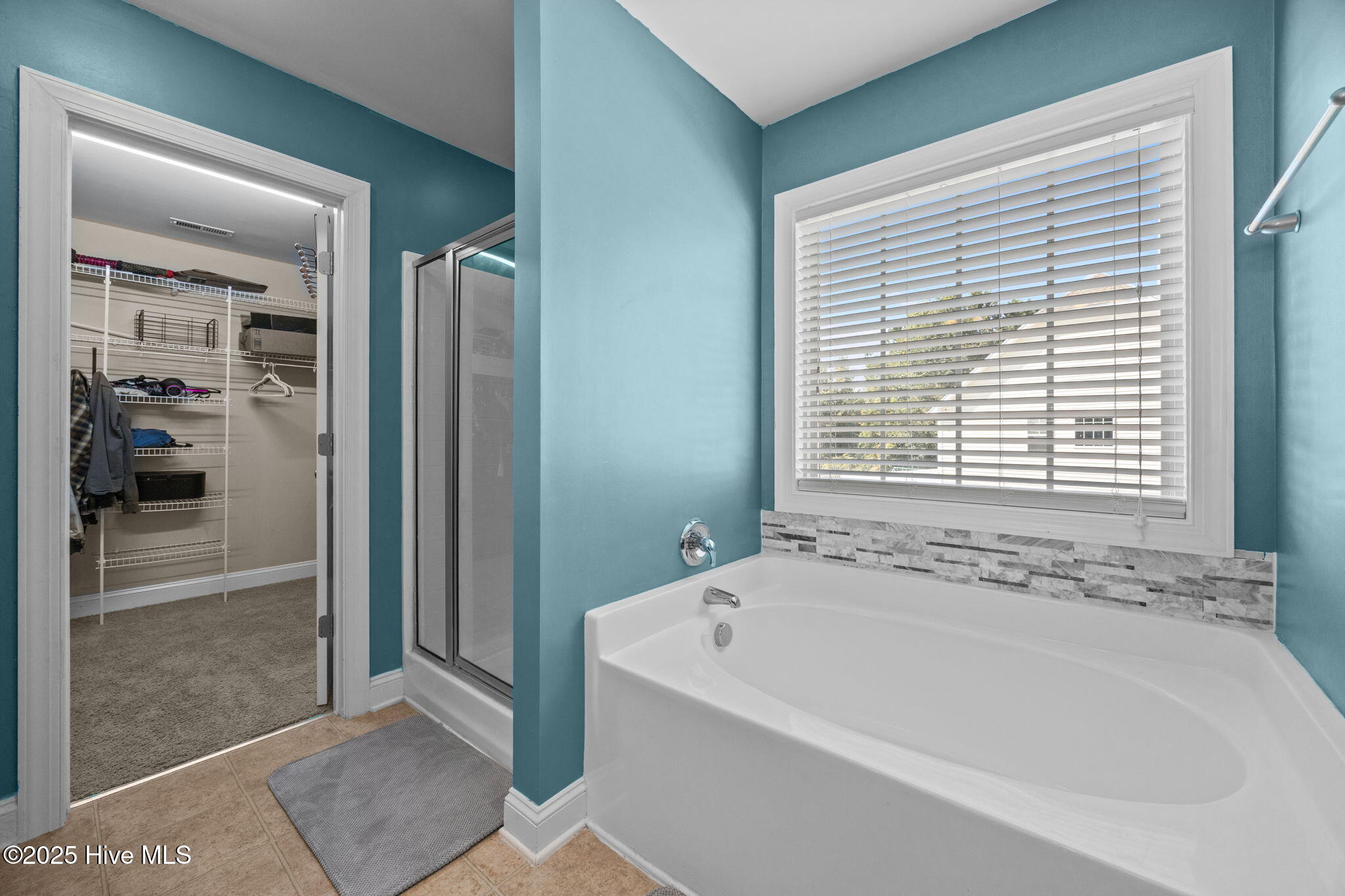 100533509 | Photo 23