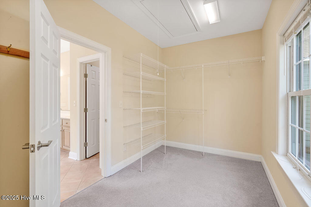 100531319 | Photo 21