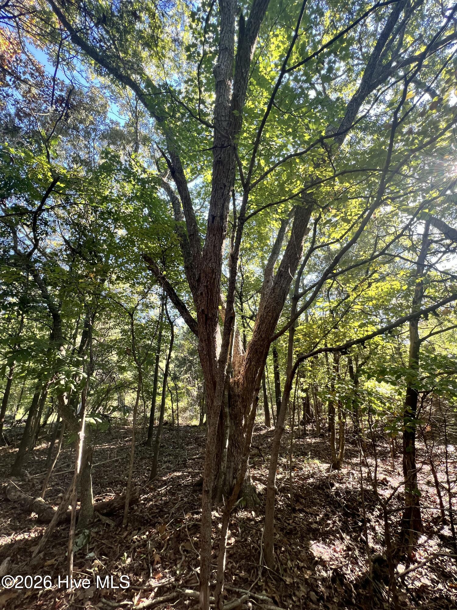 Photo 4 of Land for sale at Lot 5 Coleman Loop Rd, Hillsborough, NC 27278 | MLS# 100607628 | Listing updated on 2026-10-02