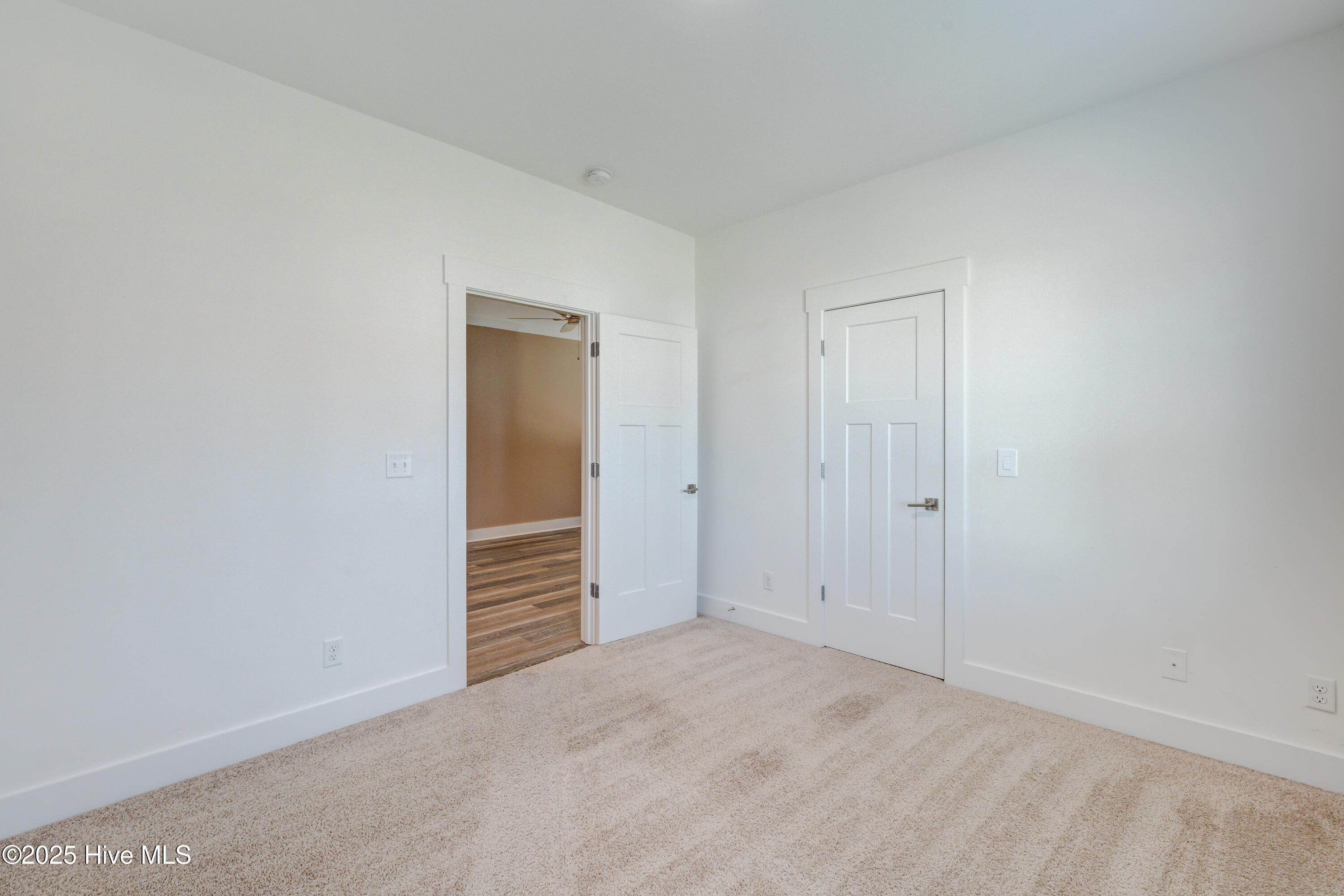 100534691 | Photo 65