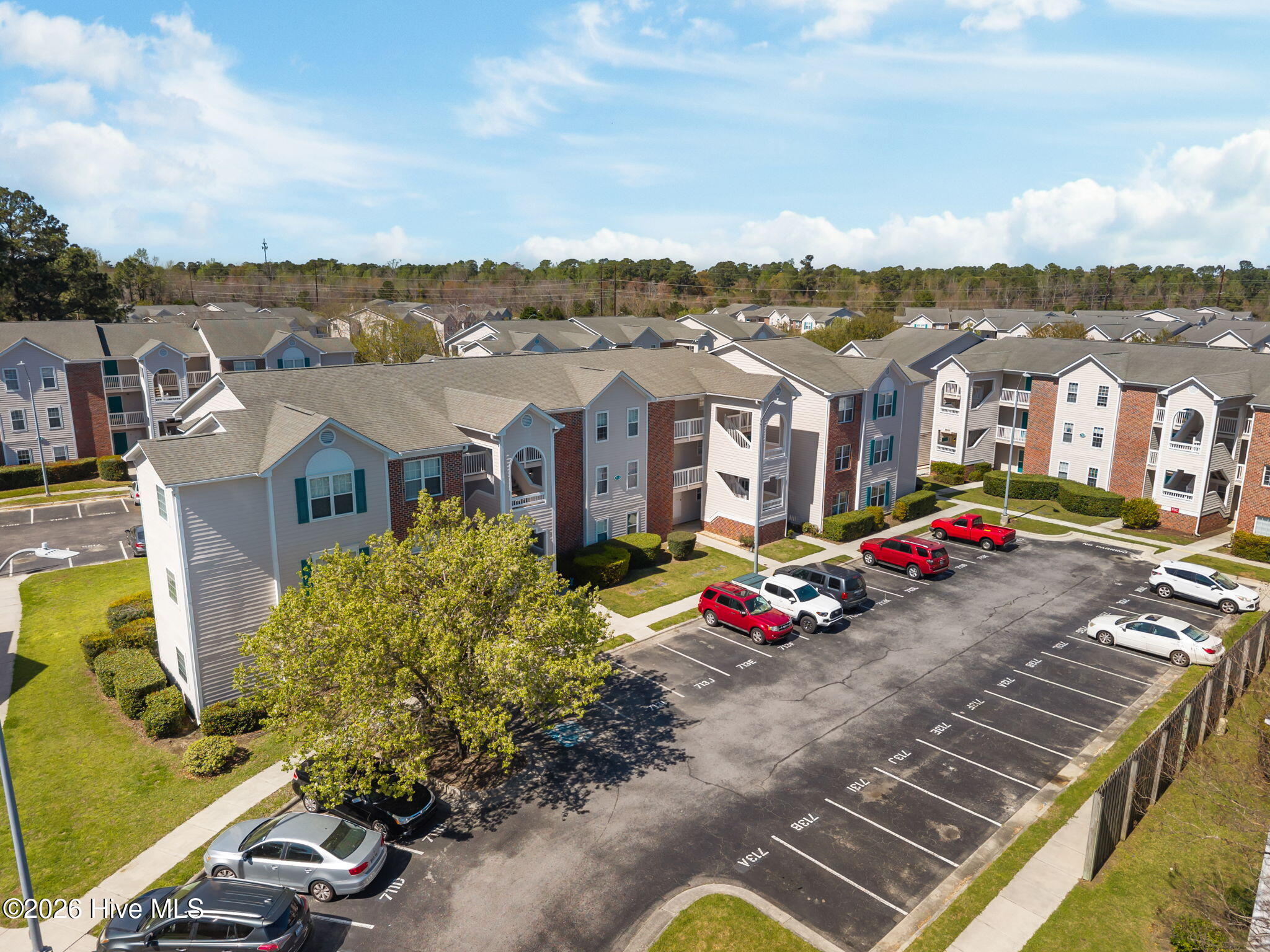 100560548 | Photo 30