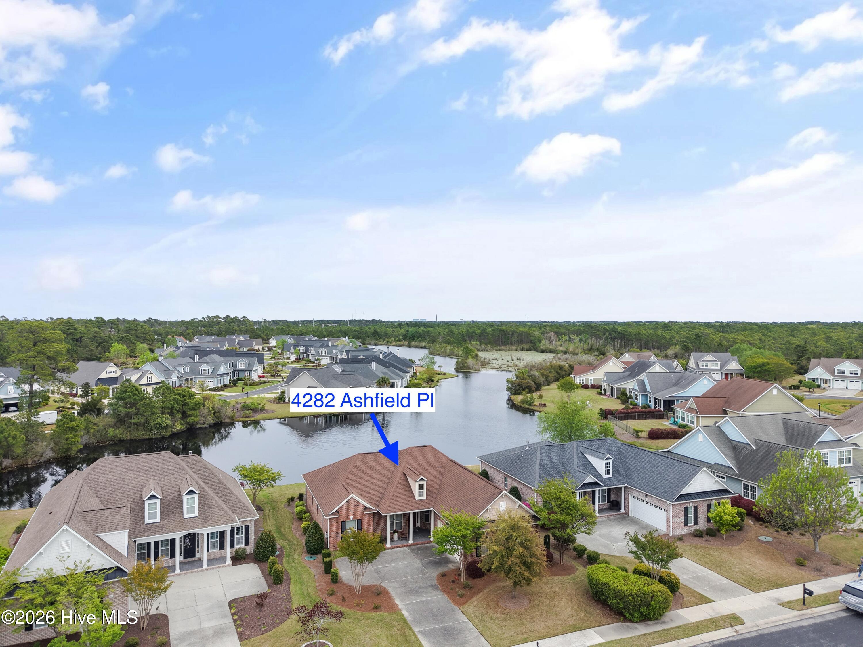 100565695 | Photo 34