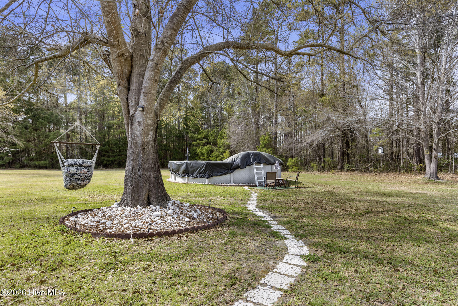 100563110 | Photo 47