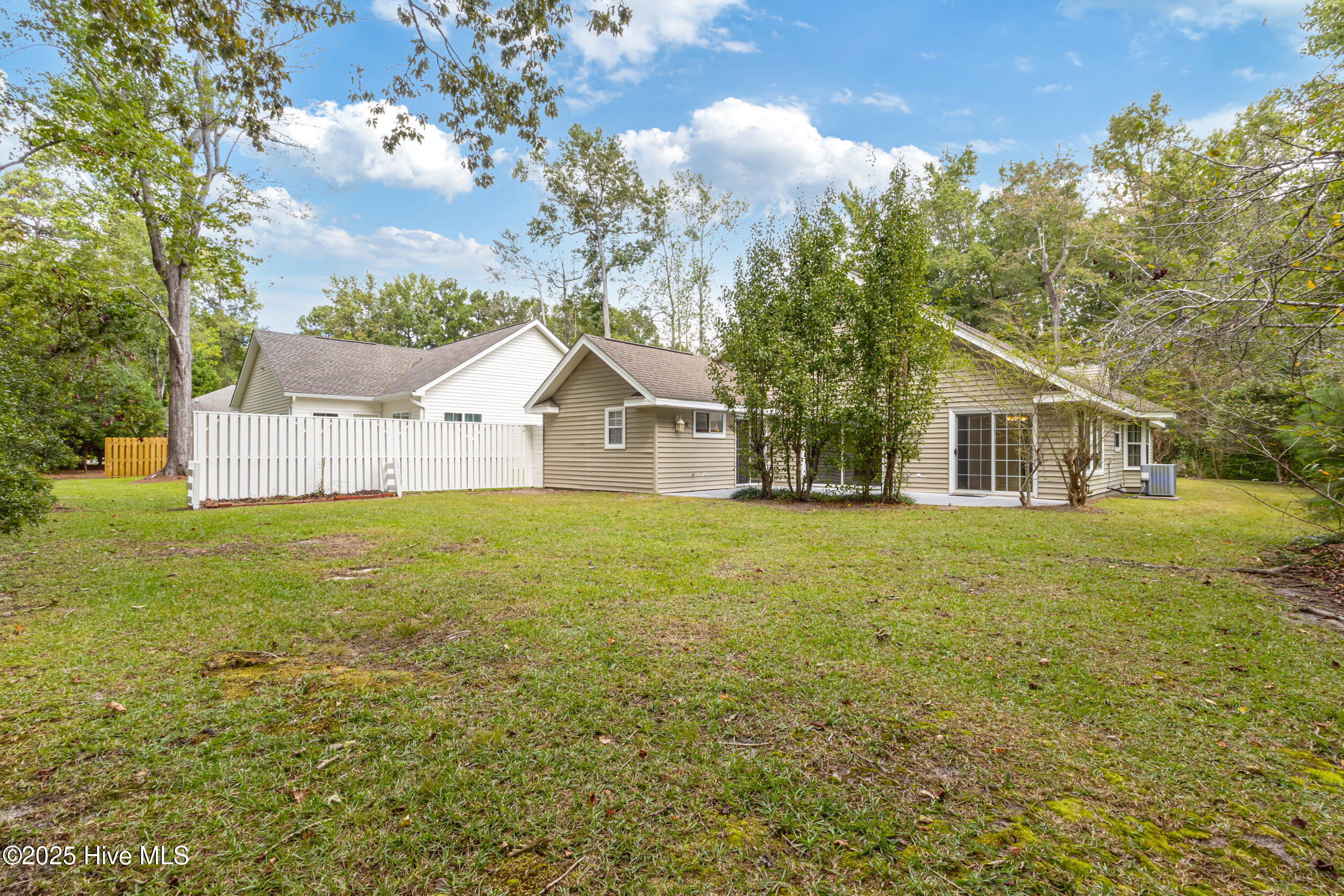 100531370 | Photo 46