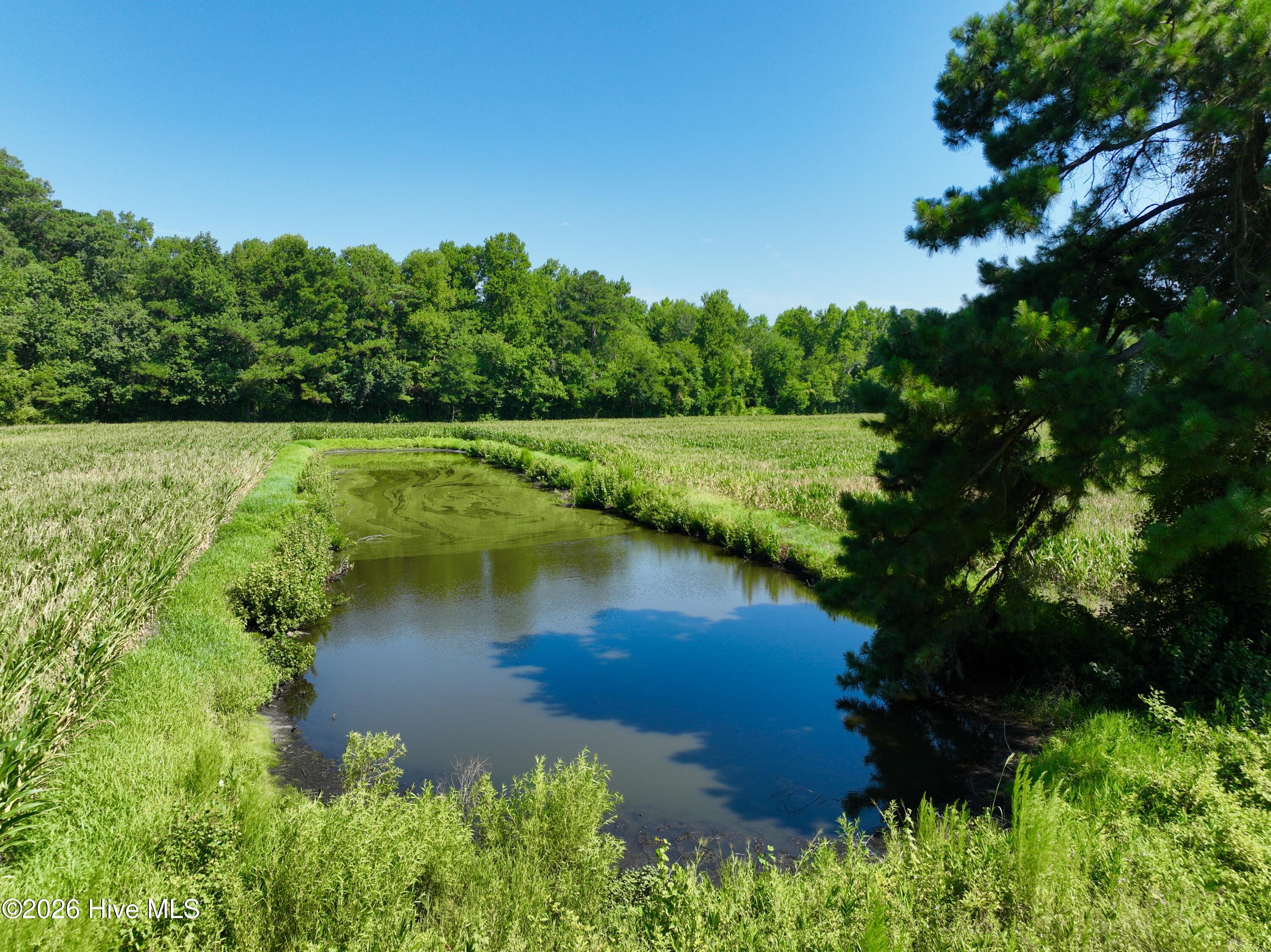 00 Cedar Fork Road,Beulaville