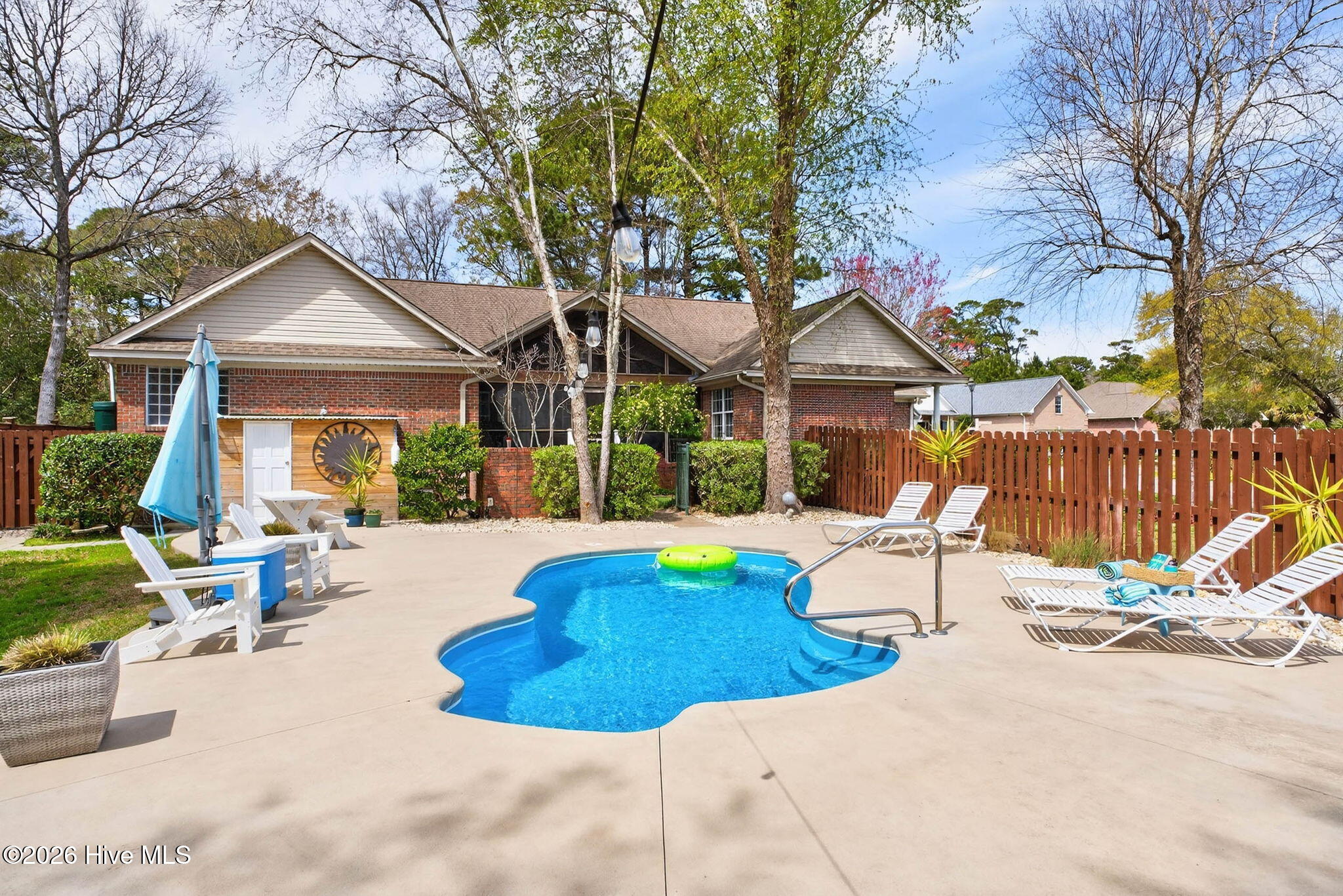 100562589 | Photo 10