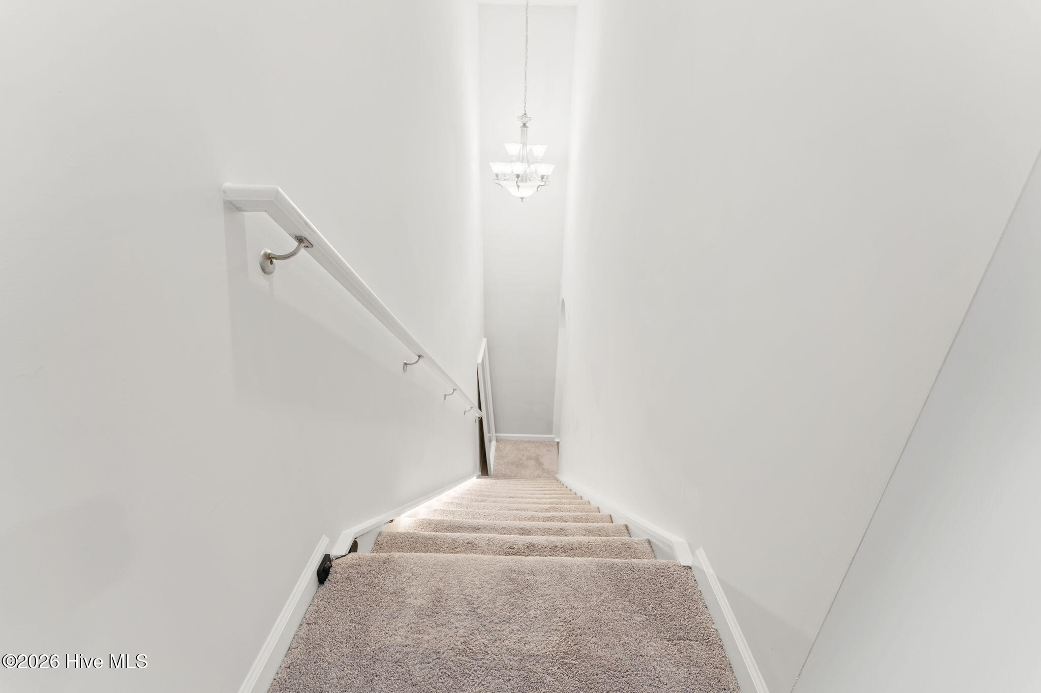 100566153 | Photo 15