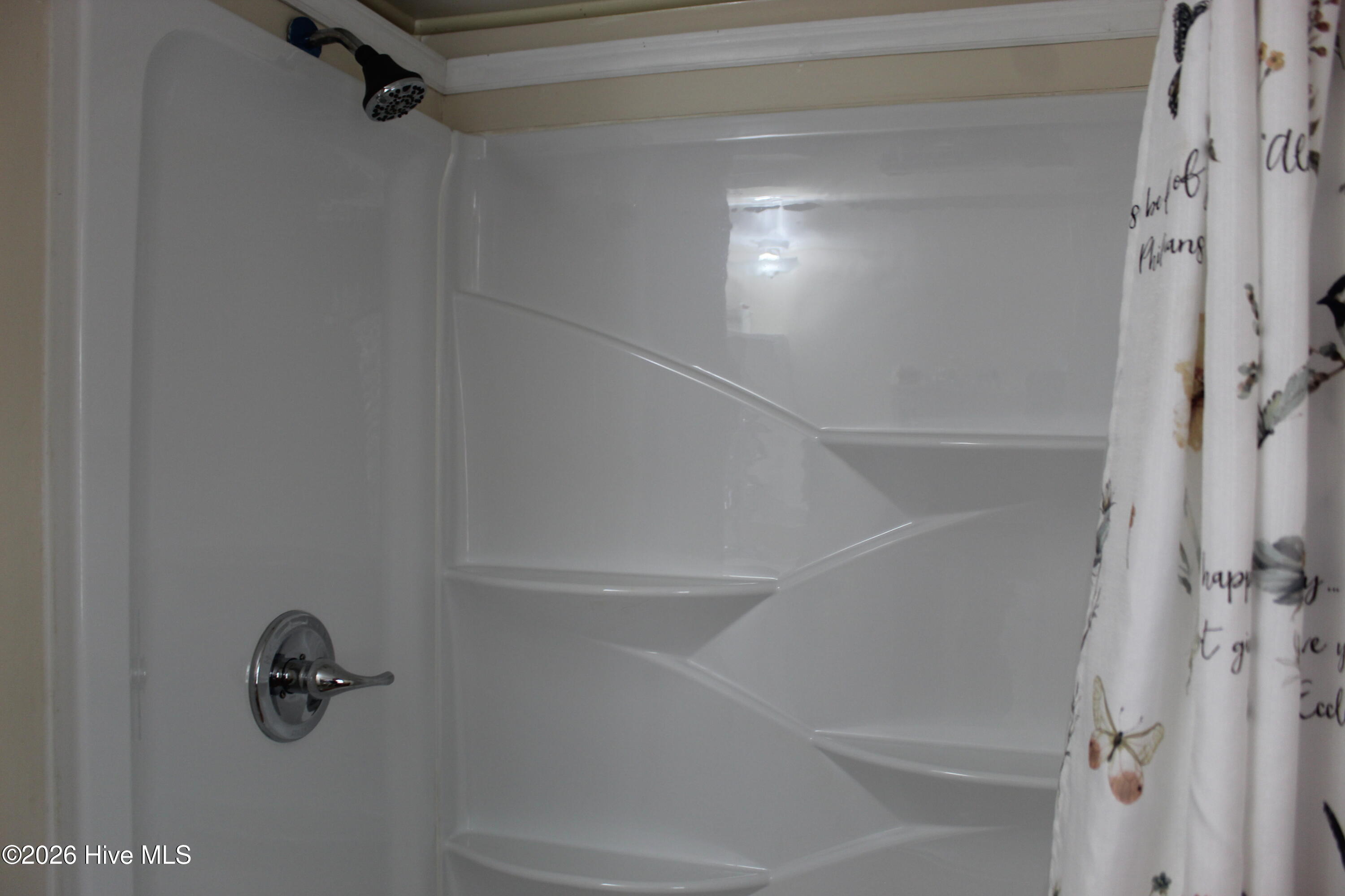 100527768 | Photo 17