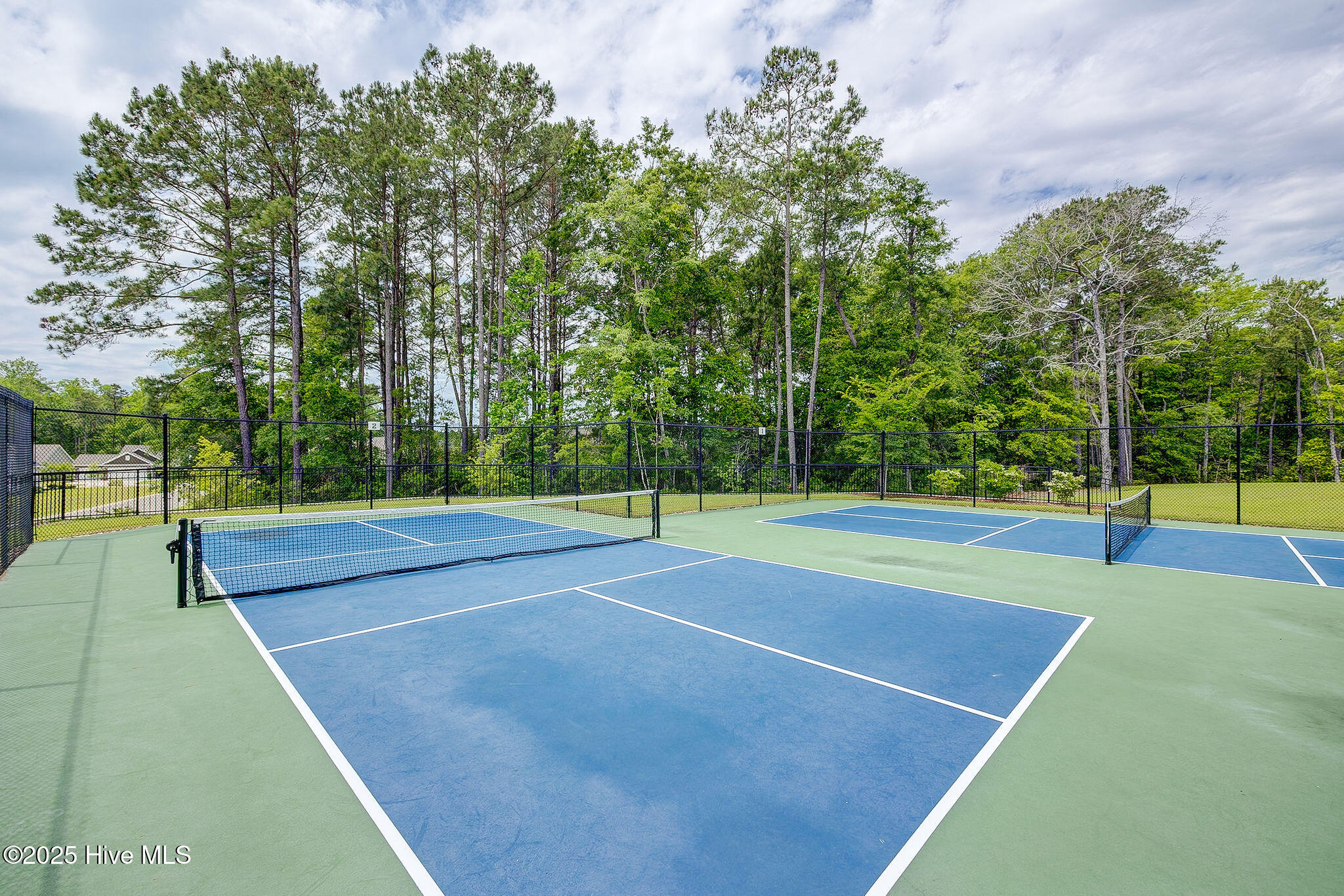 100506096 | Photo 55