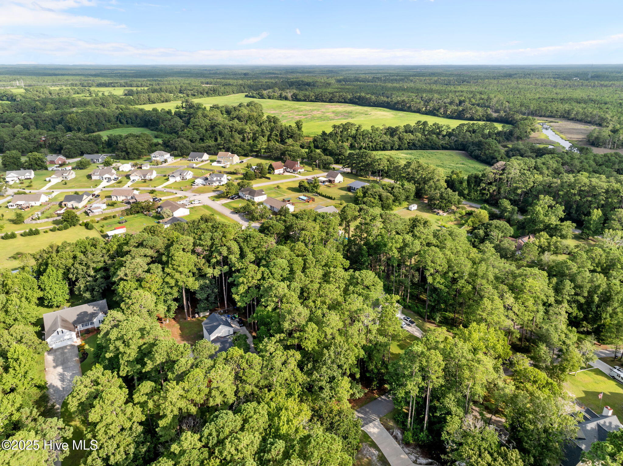 100520781 | Photo 19