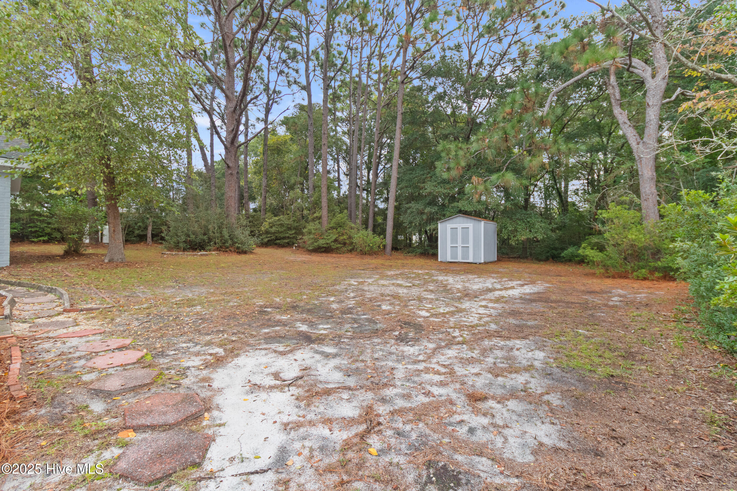 100534171 | Photo 34