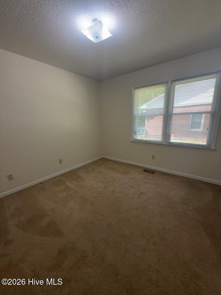 100567507 | Photo 11