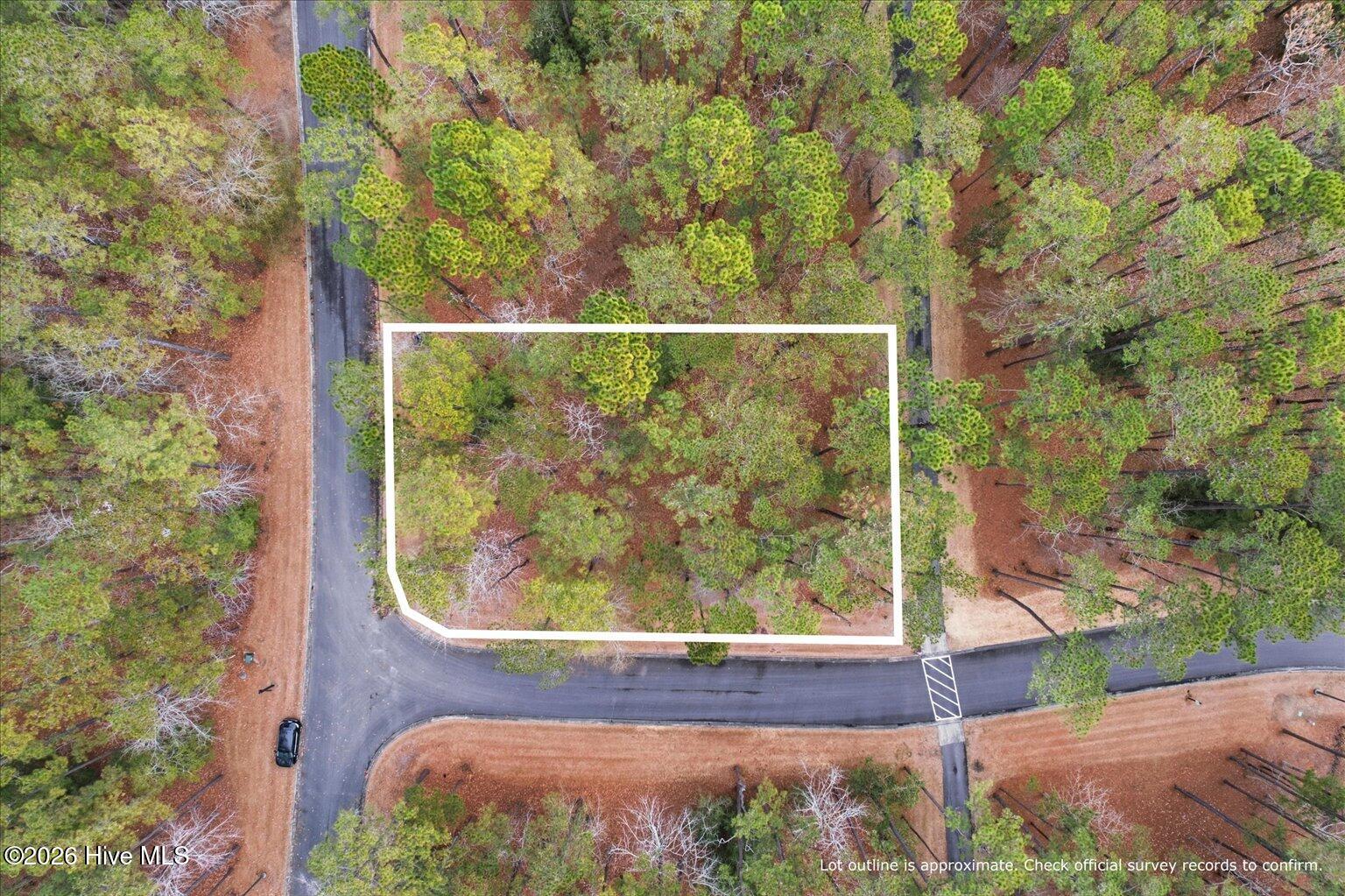 100555112 | Photo 27