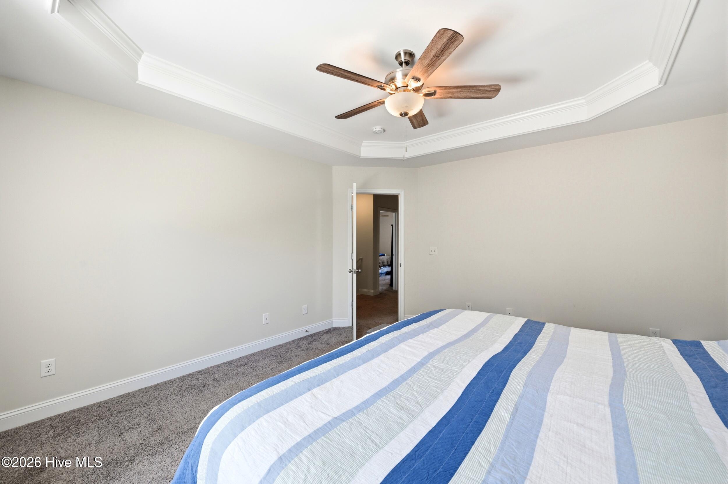 100567137 | Photo 22