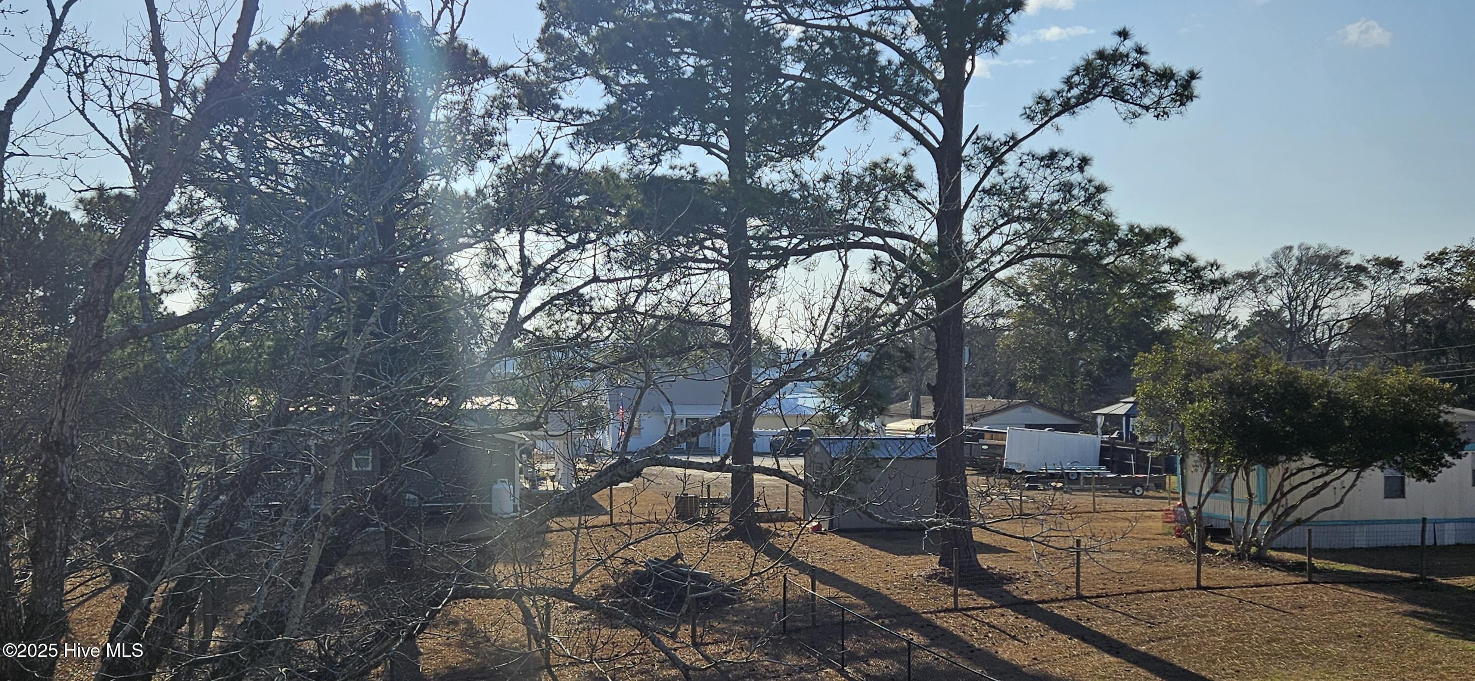 100488481 | Photo 15