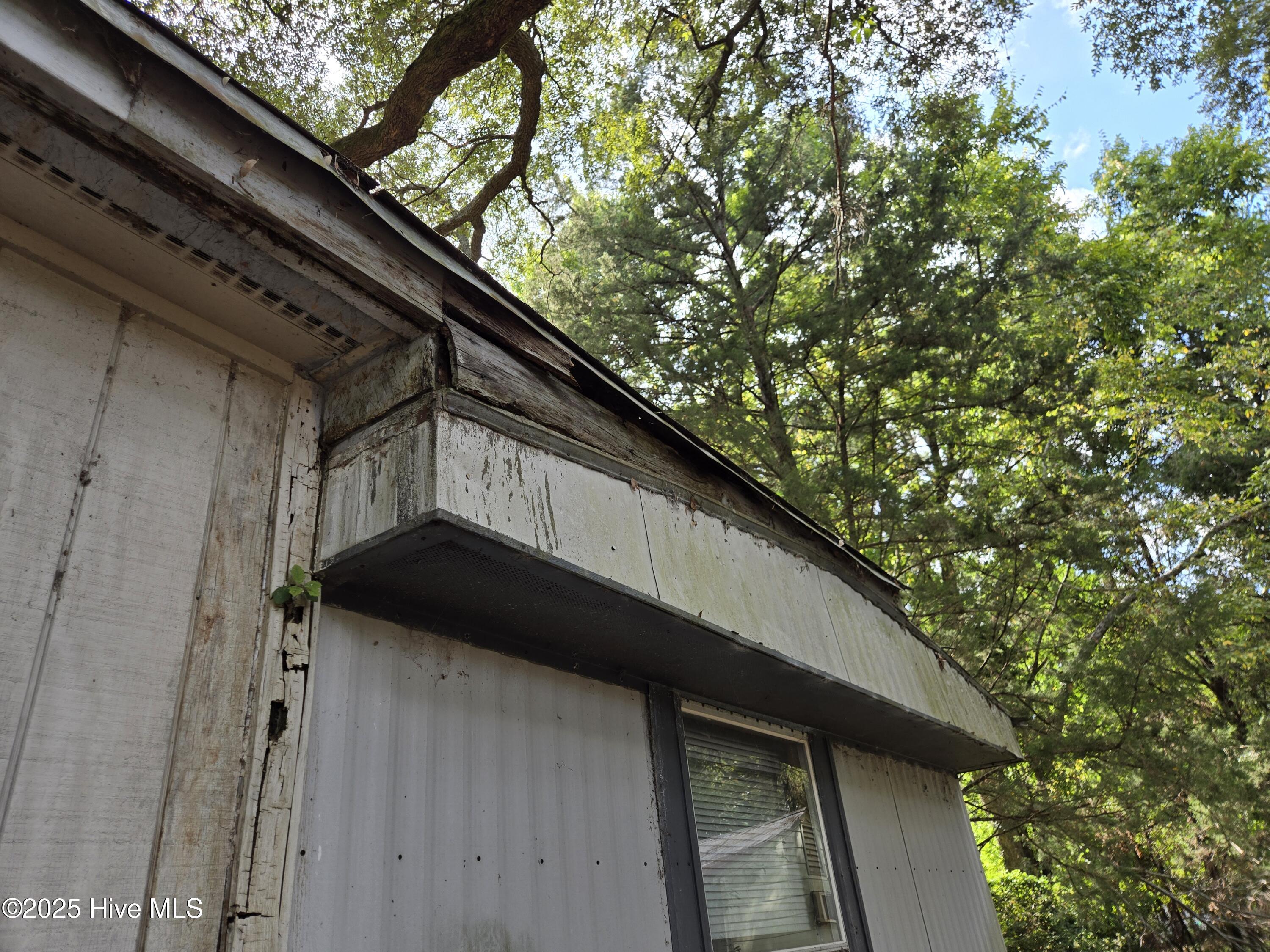 100531418 | Photo 31