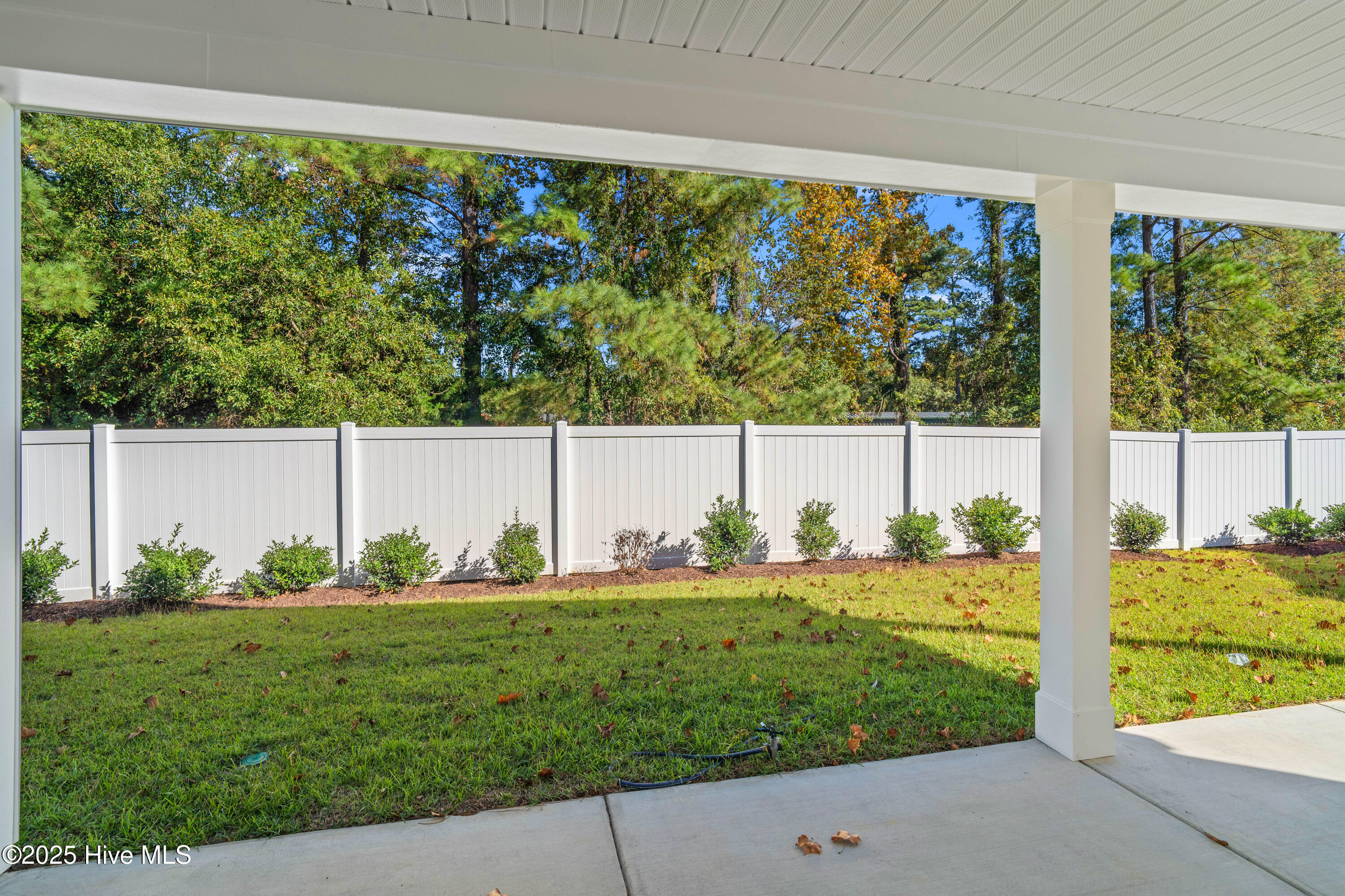 100499661 | Photo 23